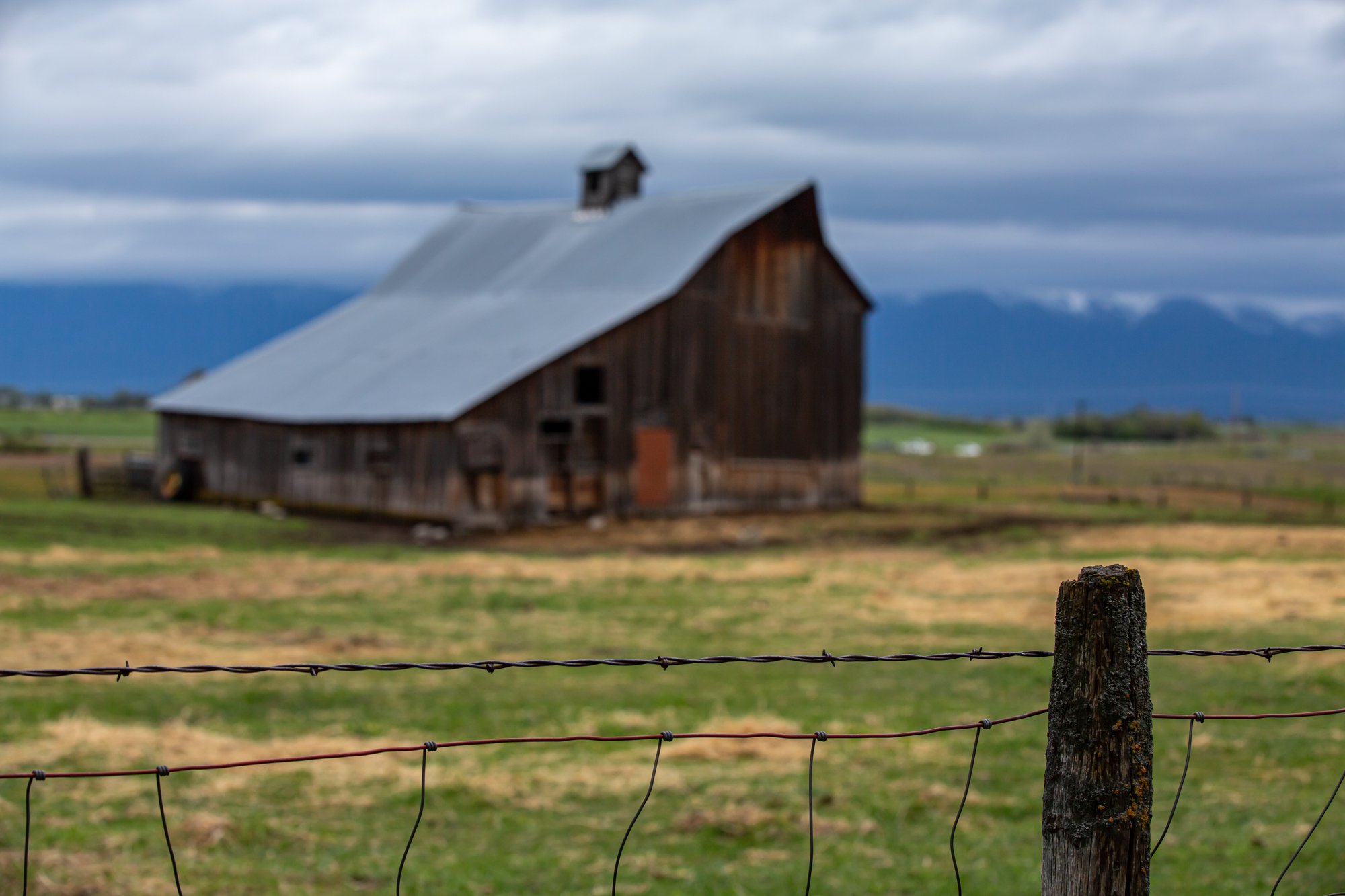 WFO Barn Tours Scout - Spring 2024-162.jpg