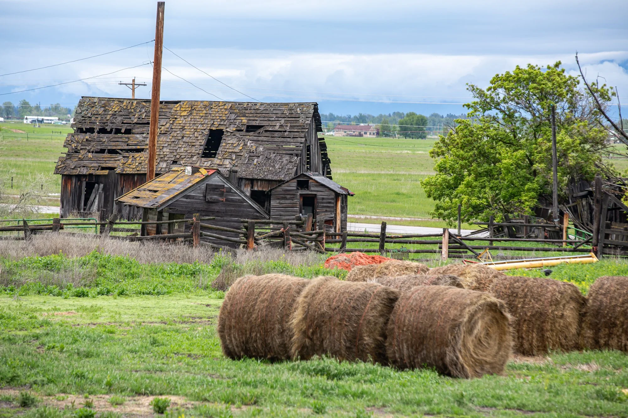 WFO Barn Tours Scout - Spring 2024-147.jpg