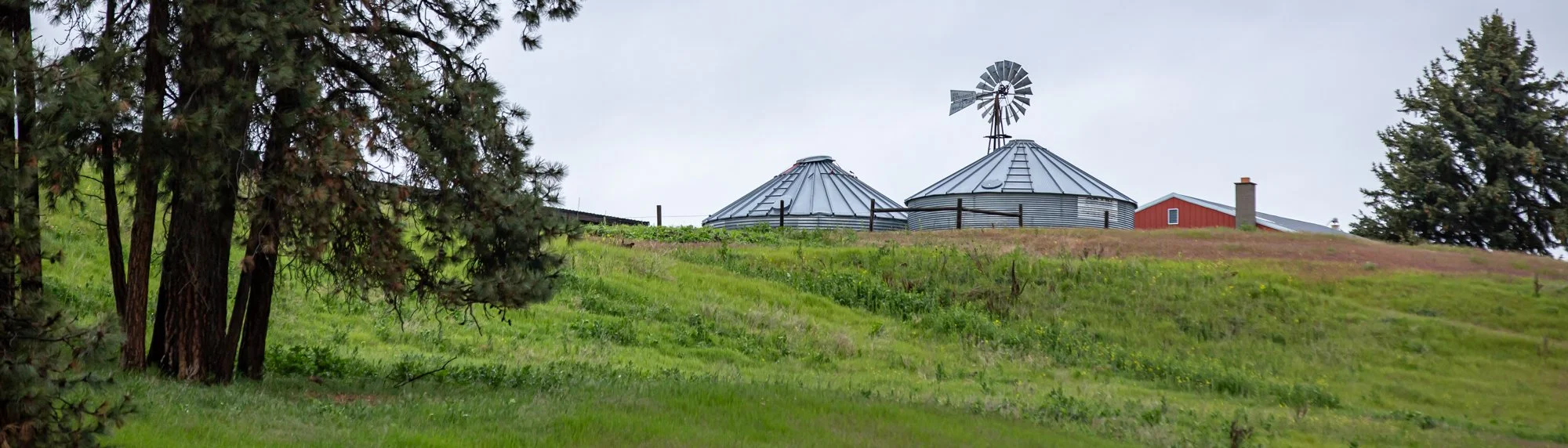 WFO Barn Tours Scout - Spring 2024-130.jpg