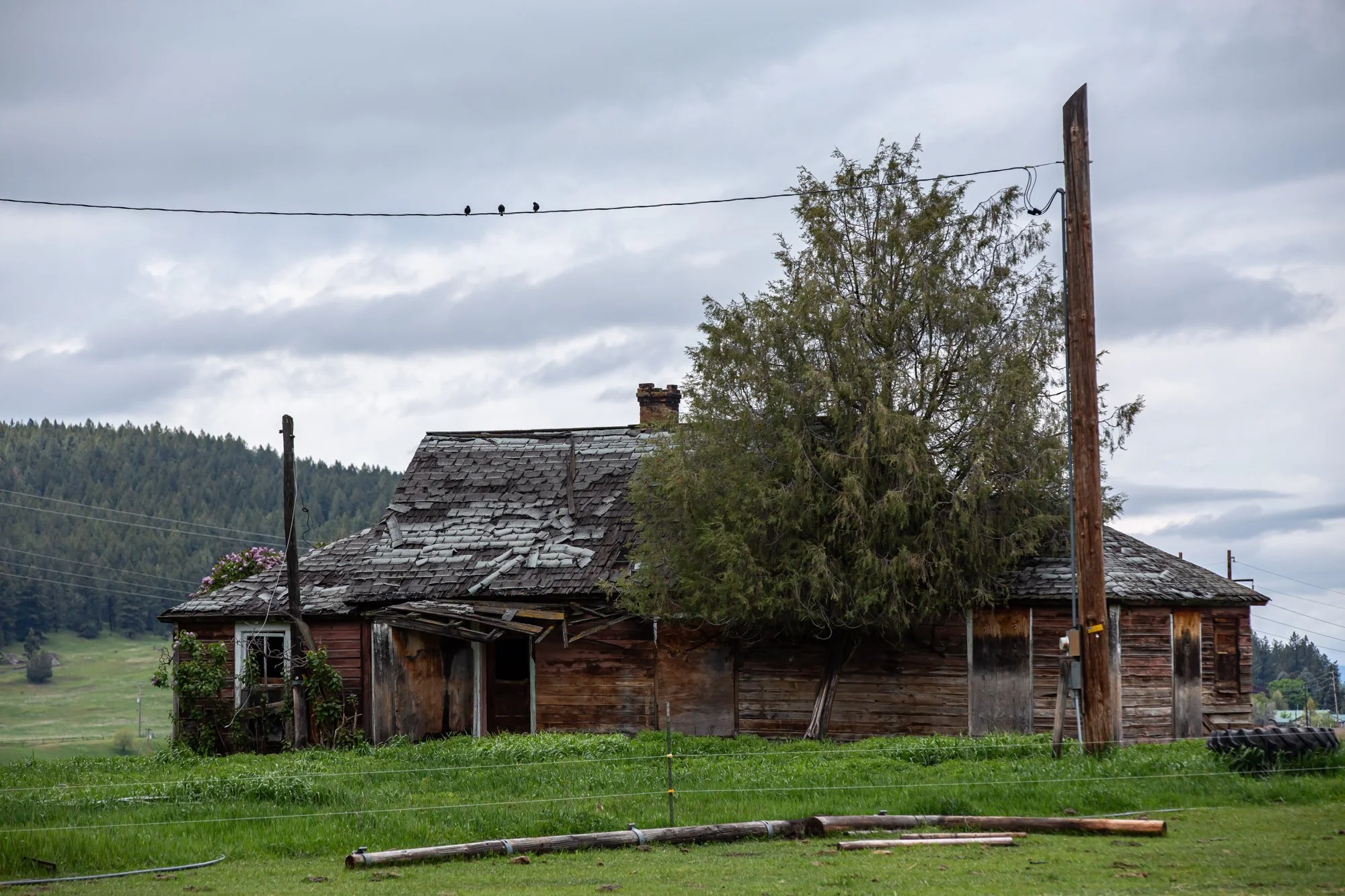 WFO Barn Tours Scout - Spring 2024-031.jpg
