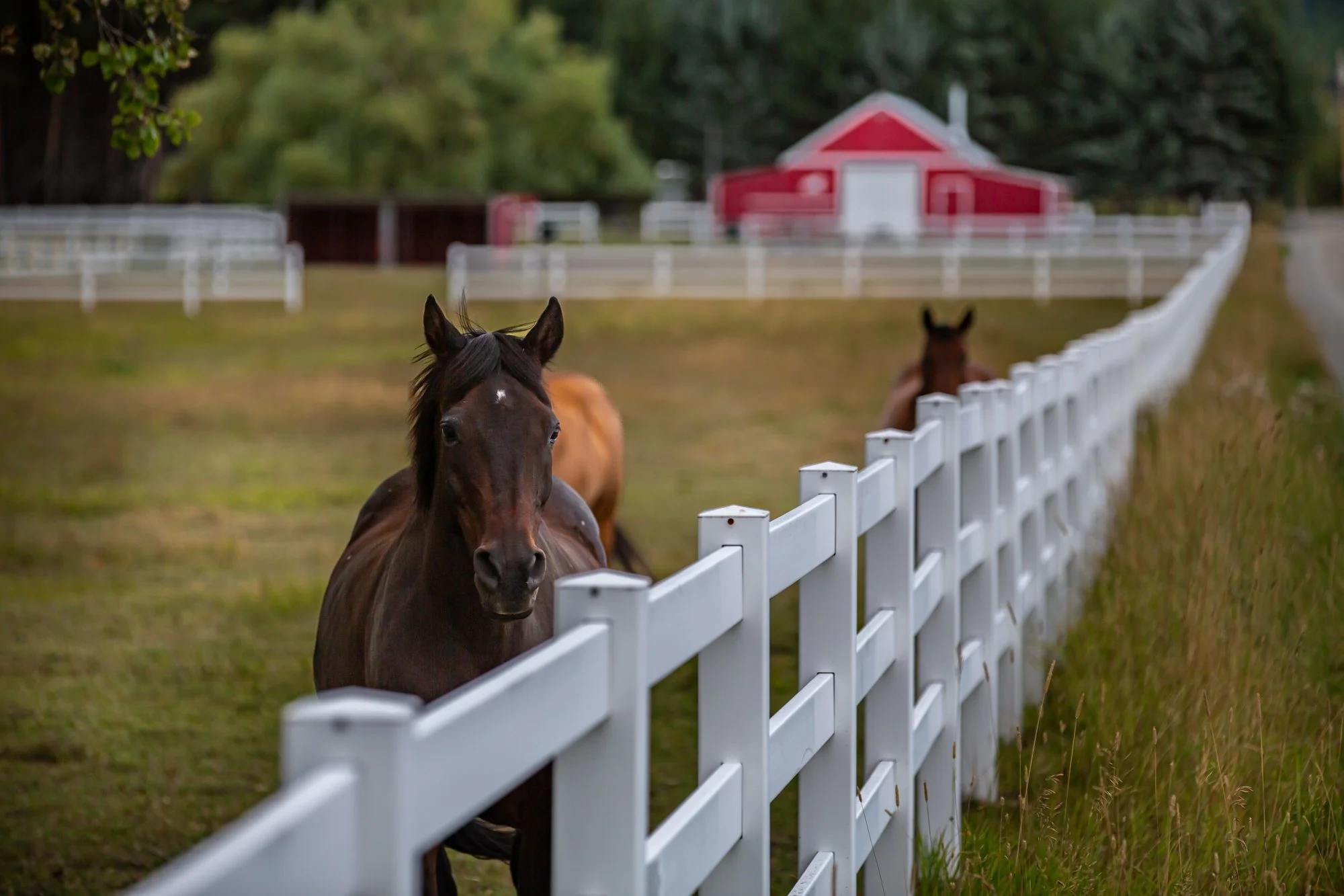 TheGlacierGuide.com Historic Barn Tours Locations Part II-017.jpg