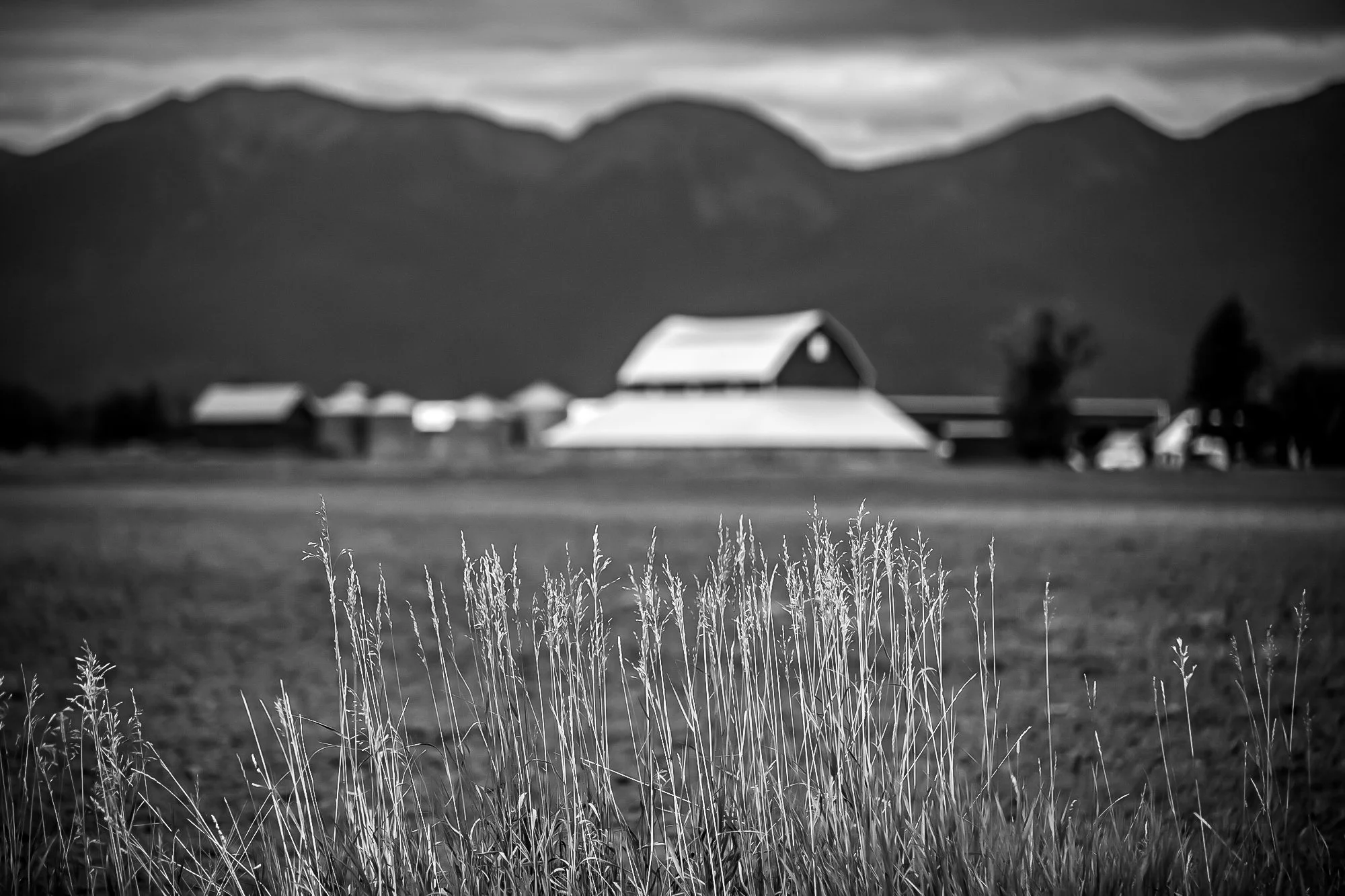 TheGlacierGuide.com Historic Barn Tours Locations Part II B&Ws-10.jpg