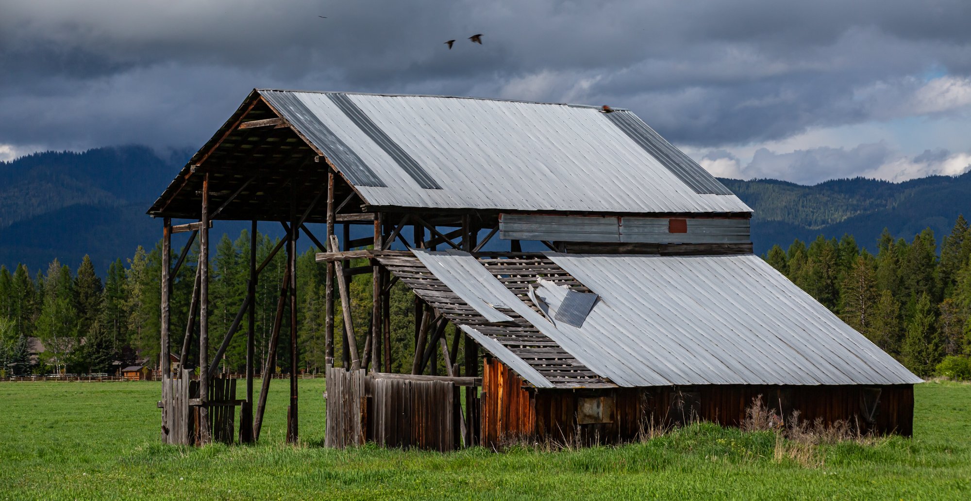 WFO Barn Tours Scout - Spring 2024-296.jpg