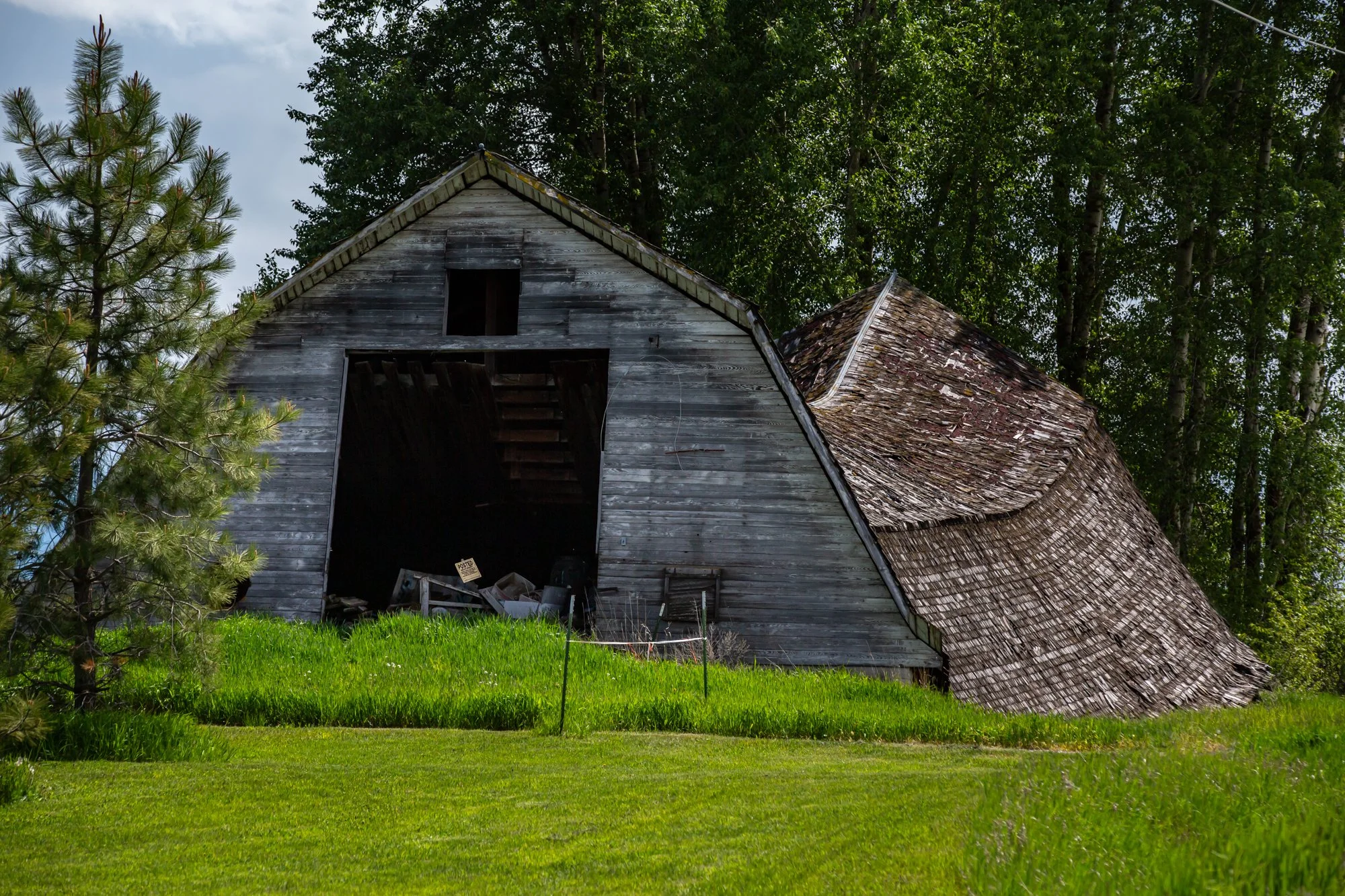 WFO Barn Tours Scout - Spring 2024-239.jpg