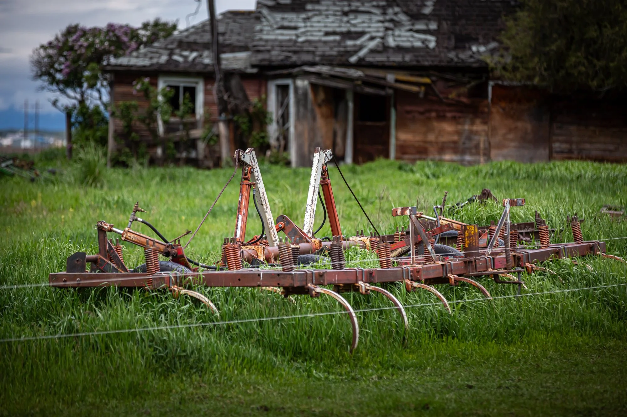 WFO Barn Tours Scout - Spring 2024-187.jpg