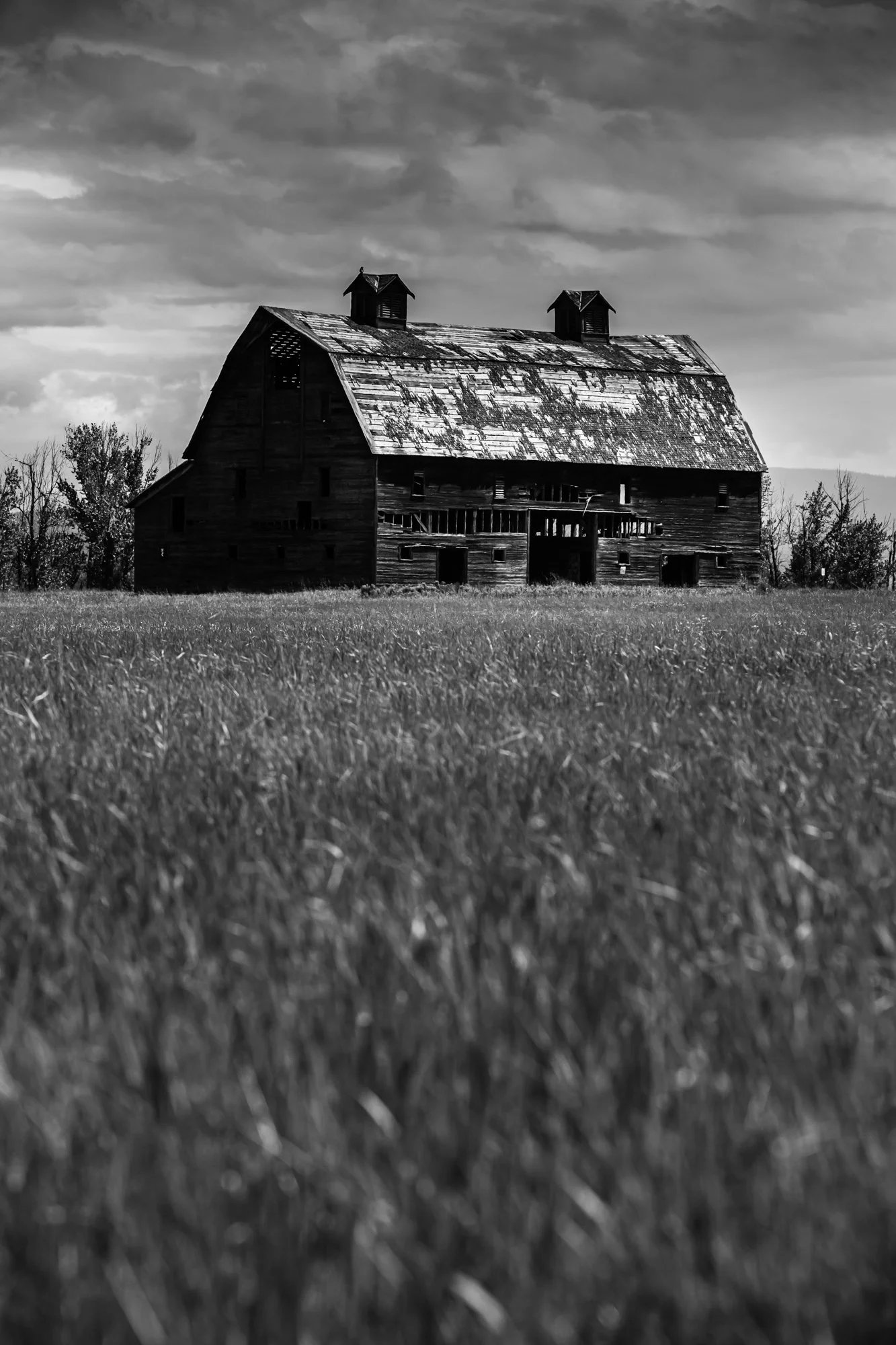 WFO Barn Tours Scout - Spring 2024-231.jpg