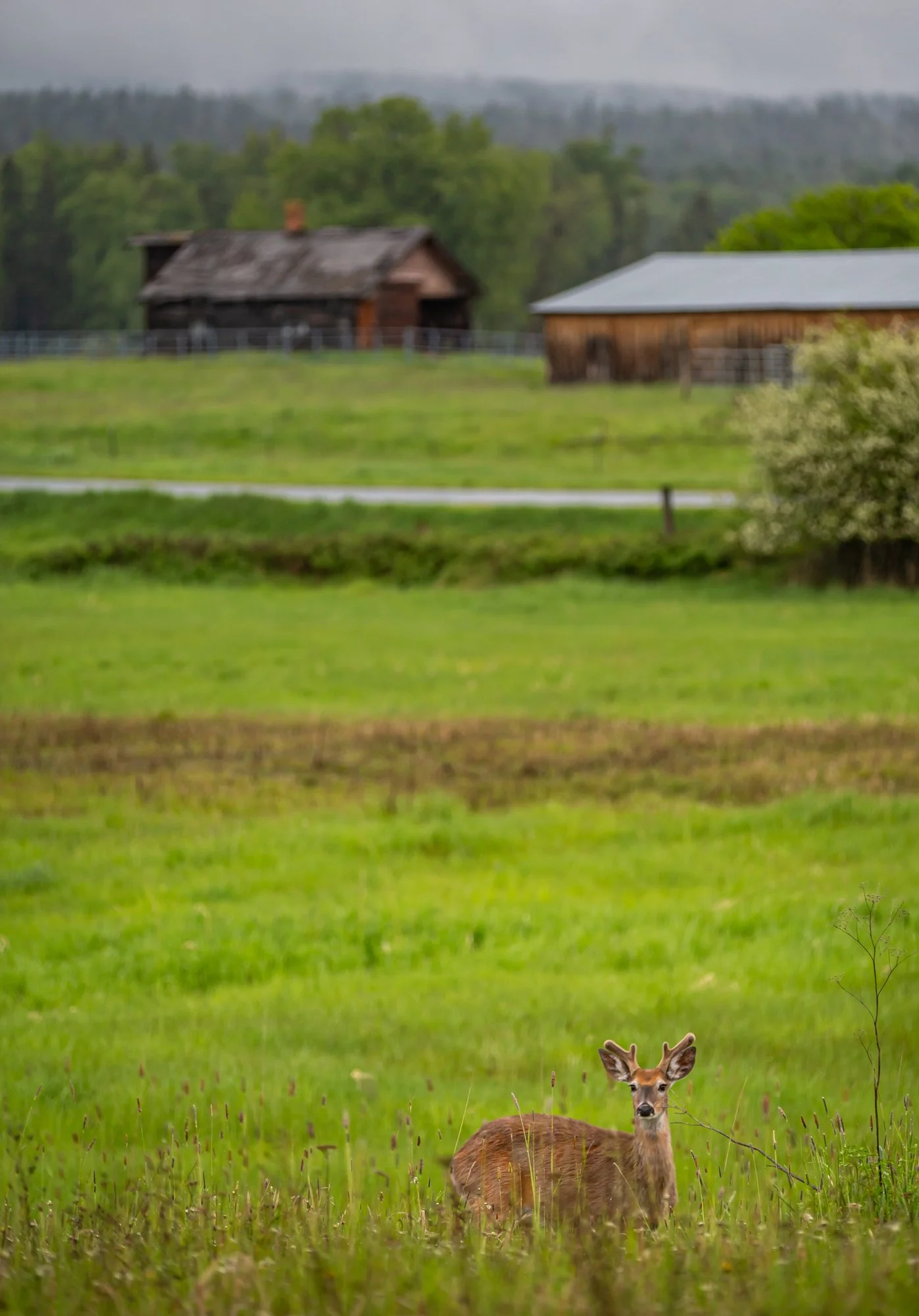 WFO Barn Tours Scout - Spring 2024-083.jpg