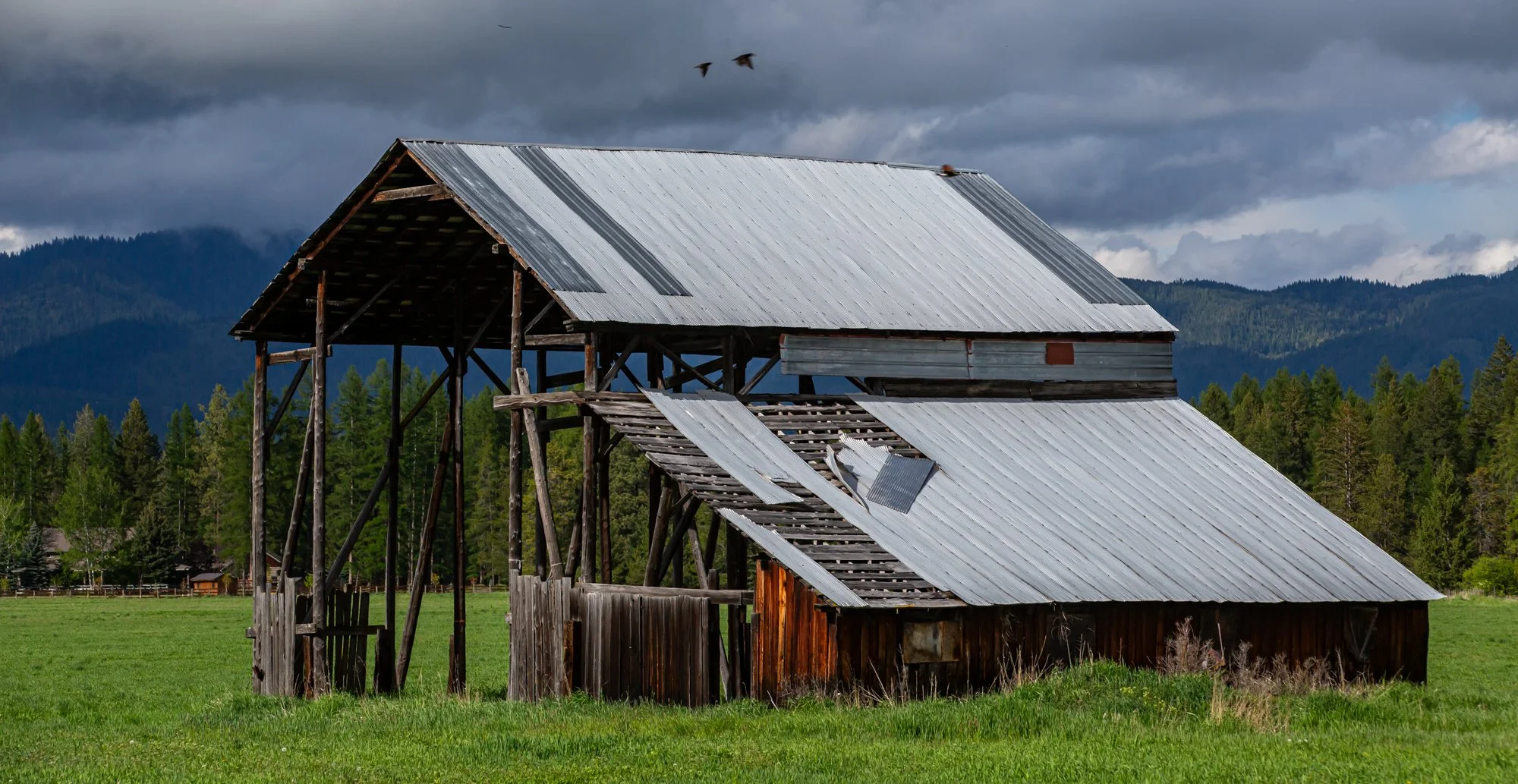 WFO Barn Tours Scout - Spring 2024-296.jpg