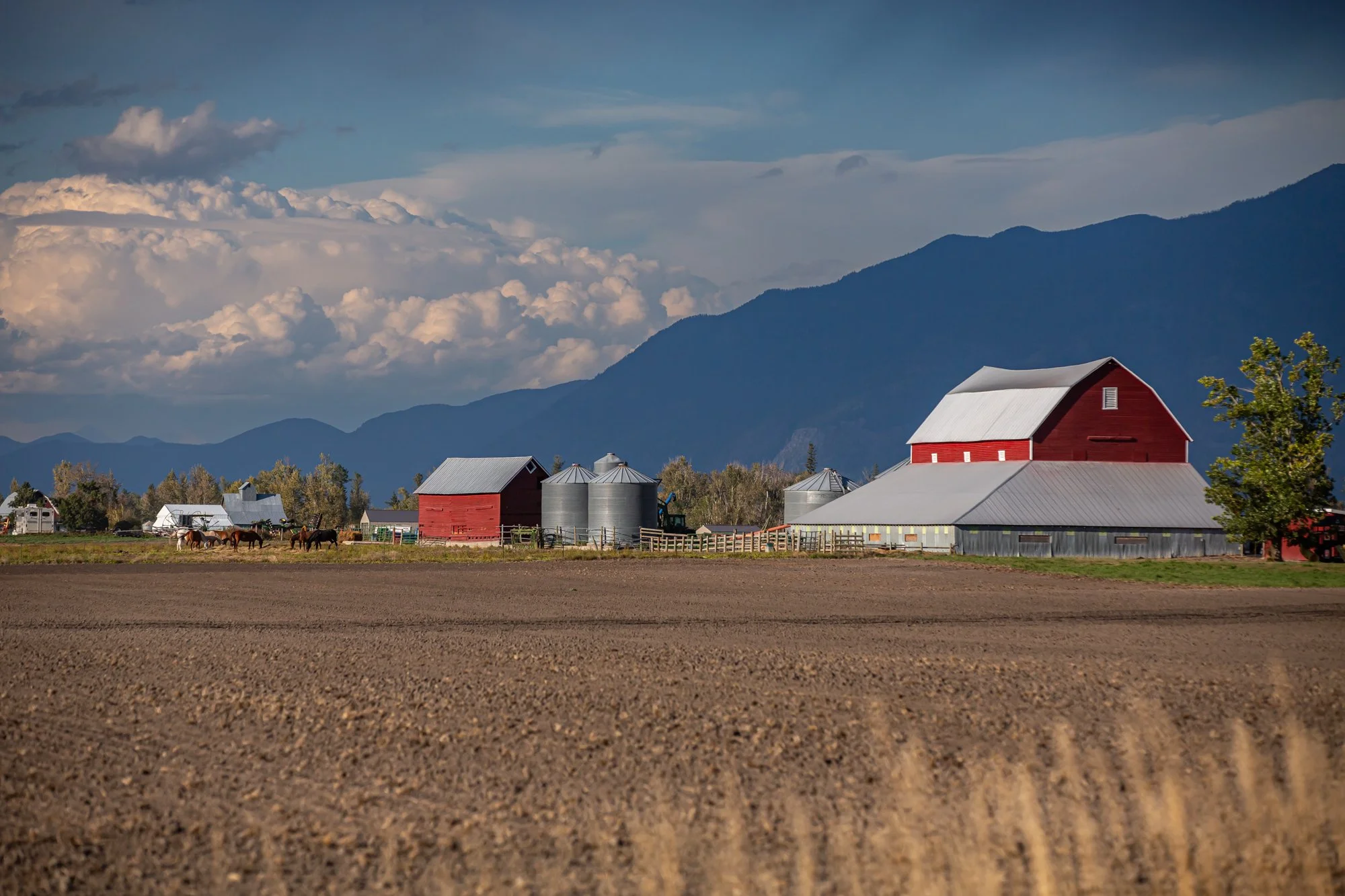 TheGlacierGuide.com Historic Barn Tours Locations Part II-140.jpg