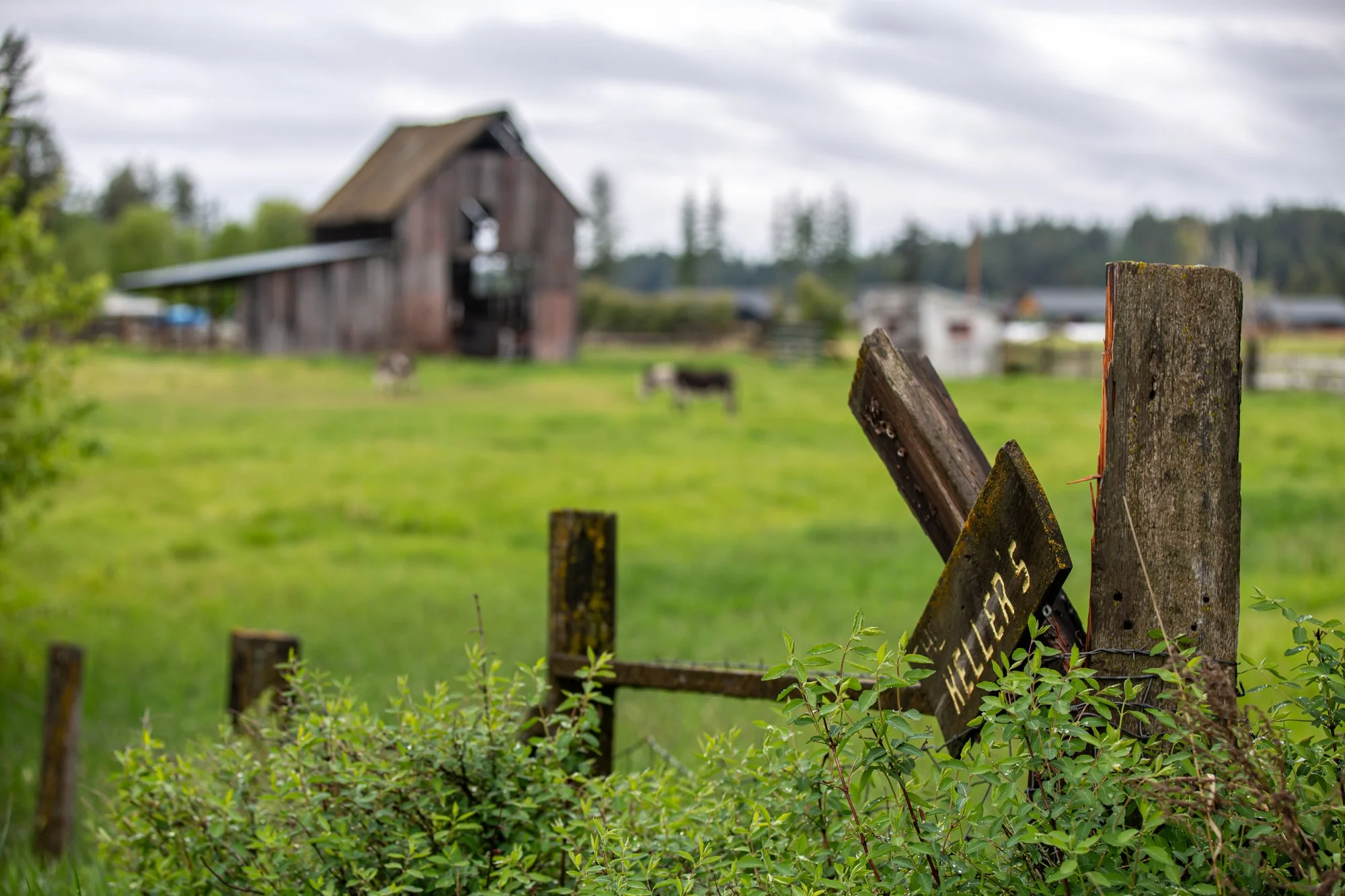 WFO Barn Tours Scout - Spring 2024-117.jpg