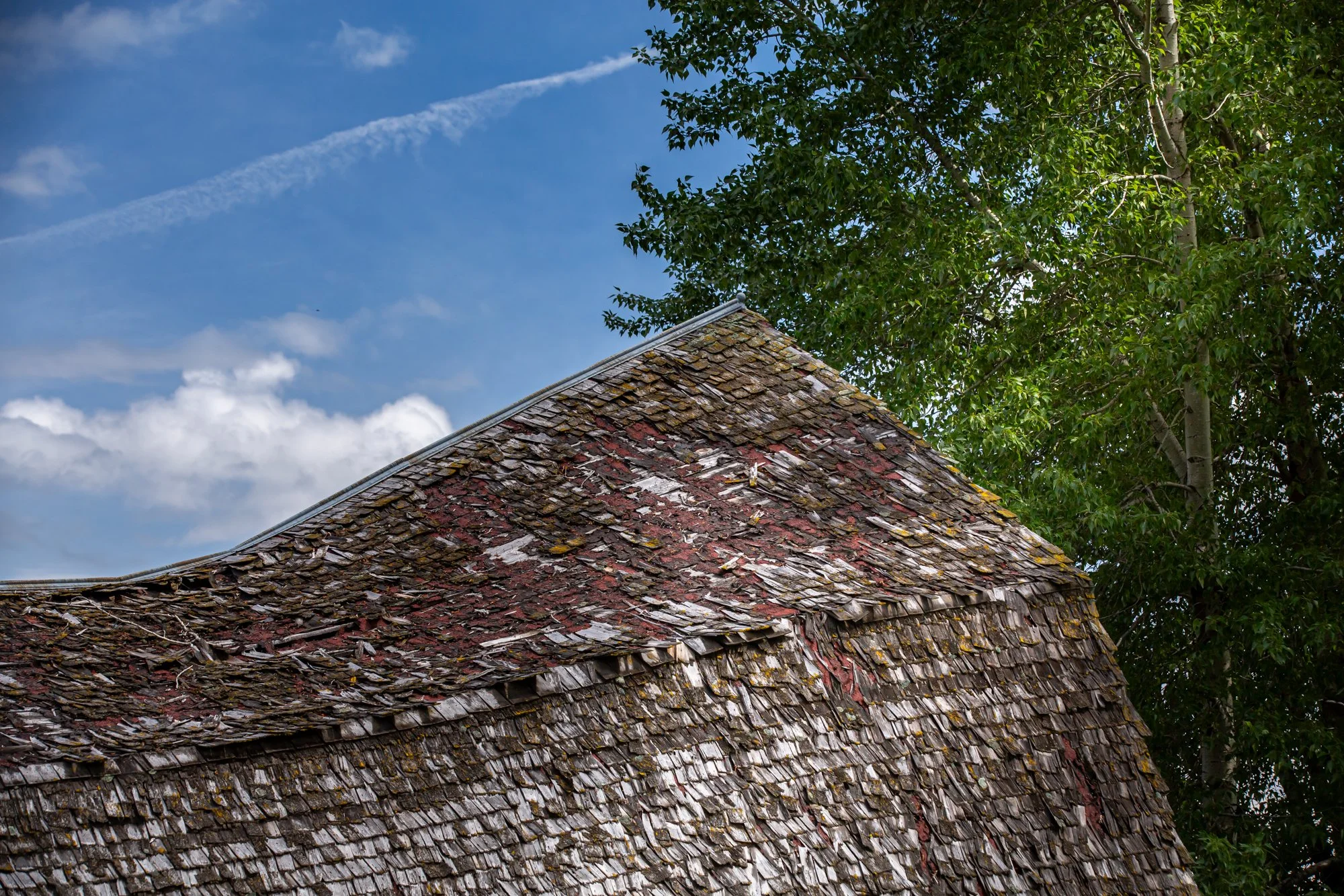WFO Barn Tours Scout - Spring 2024-244.jpg