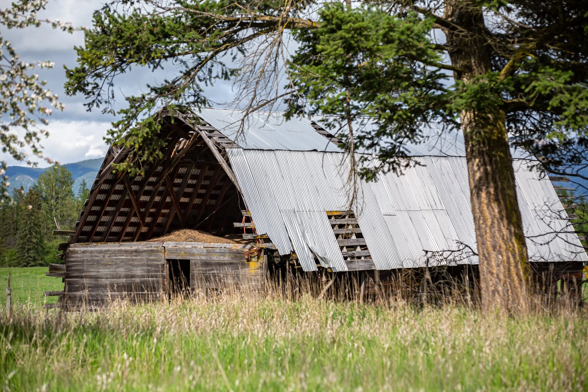 WFO Barn Tours Scout - Spring 2024-056.jpg