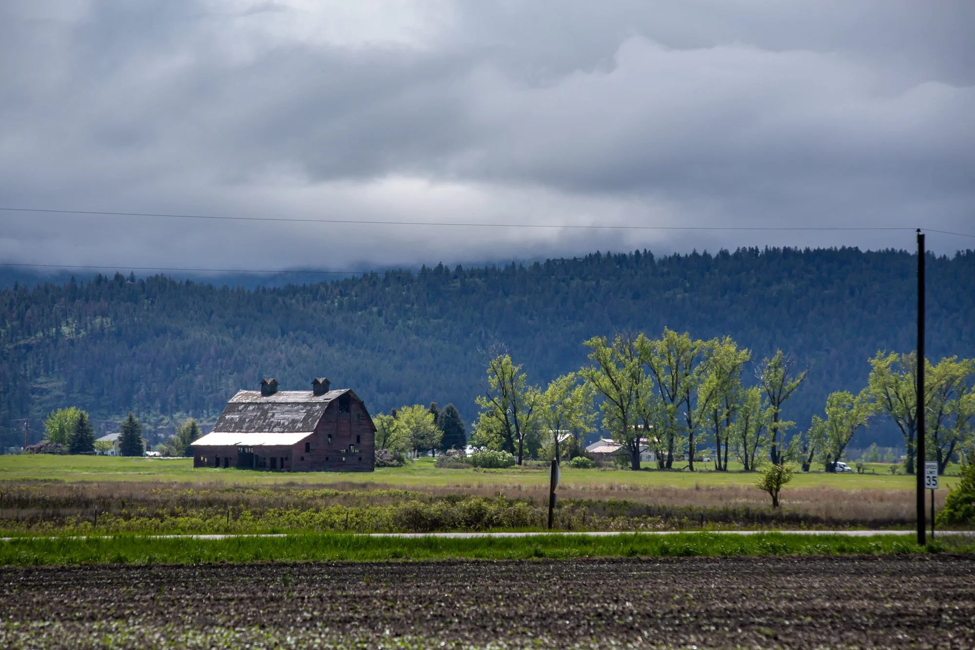 WFO Barn Tours Scout - Spring 2024-233.jpg
