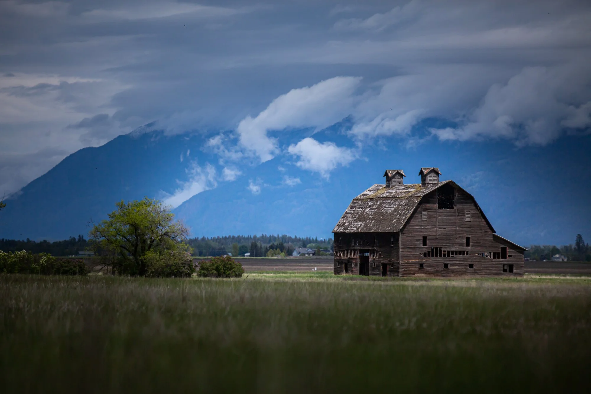WFO Barn Tours Scout - Spring 2024-211.jpg