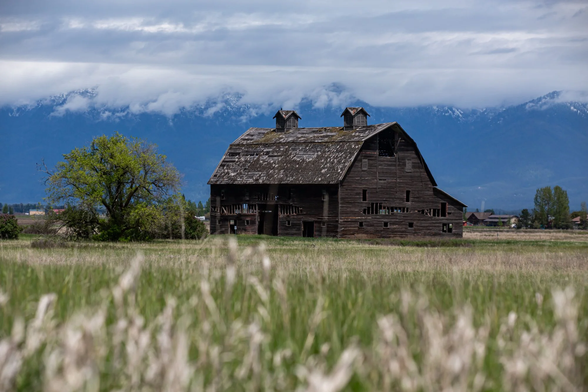 WFO Barn Tours Scout - Spring 2024-221.jpg