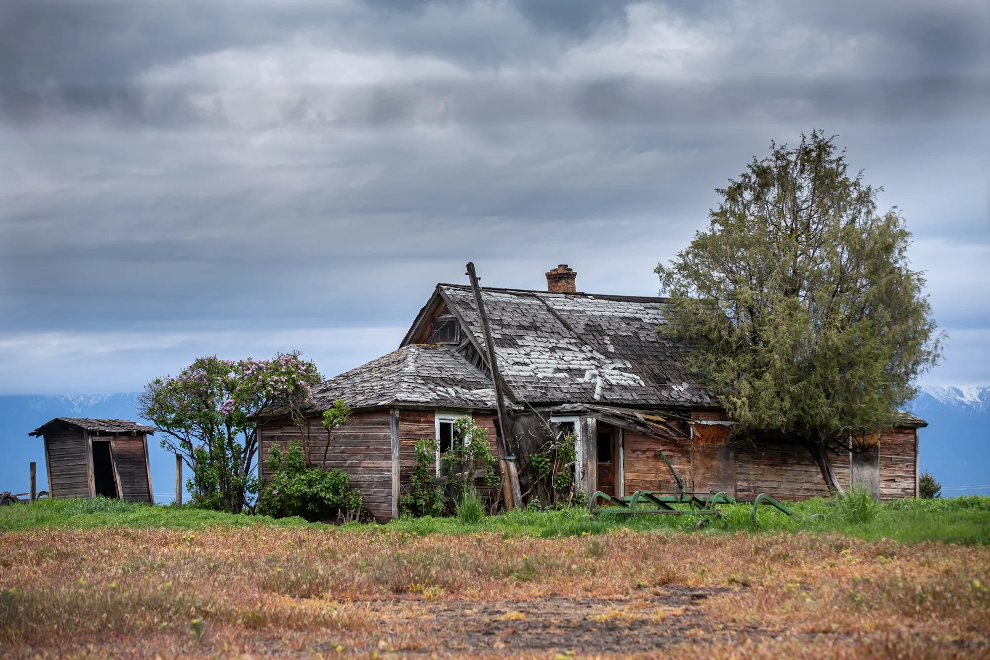 WFO Barn Tours Scout - Spring 2024-173.jpg