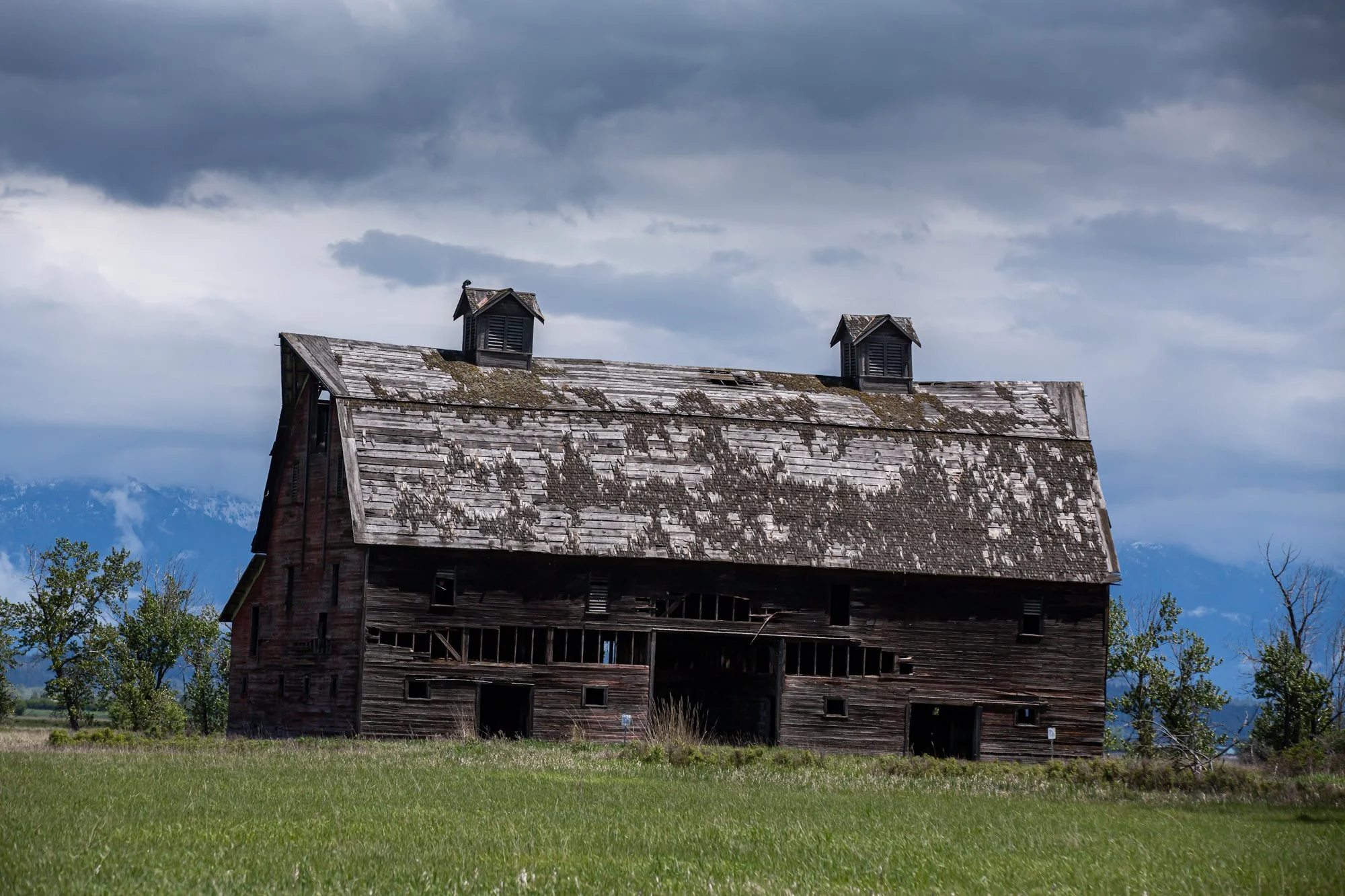 WFO Barn Tours Scout - Spring 2024-228.jpg
