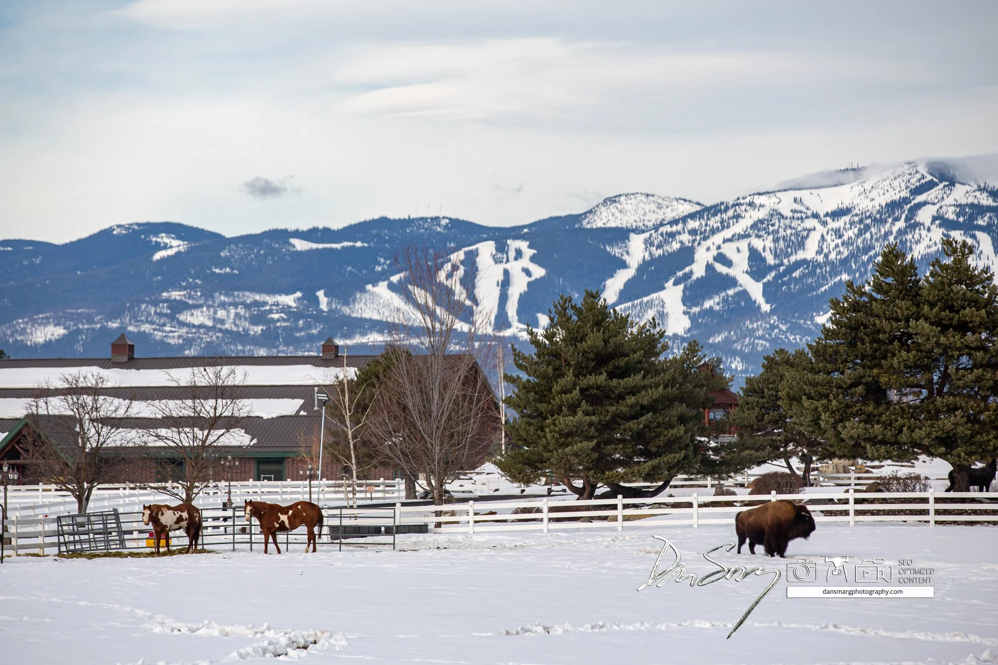 DanSmargPhotography.com _ NWMT Barn Locations-042.jpg