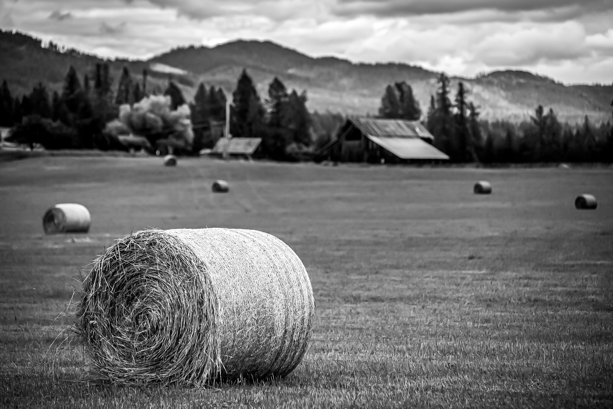 TheGlacierGuide.com Historic Barn Tours Locations Part II B&Ws-03.jpg