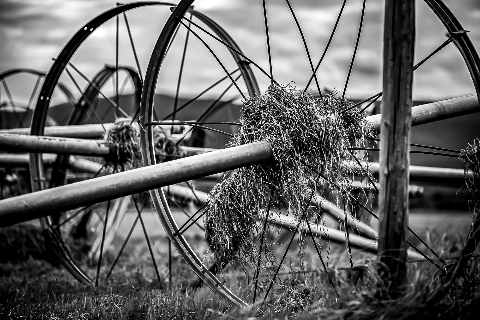 TheGlacierGuide.com Historic Barn Tours Locations Part II B&Ws-08.jpg