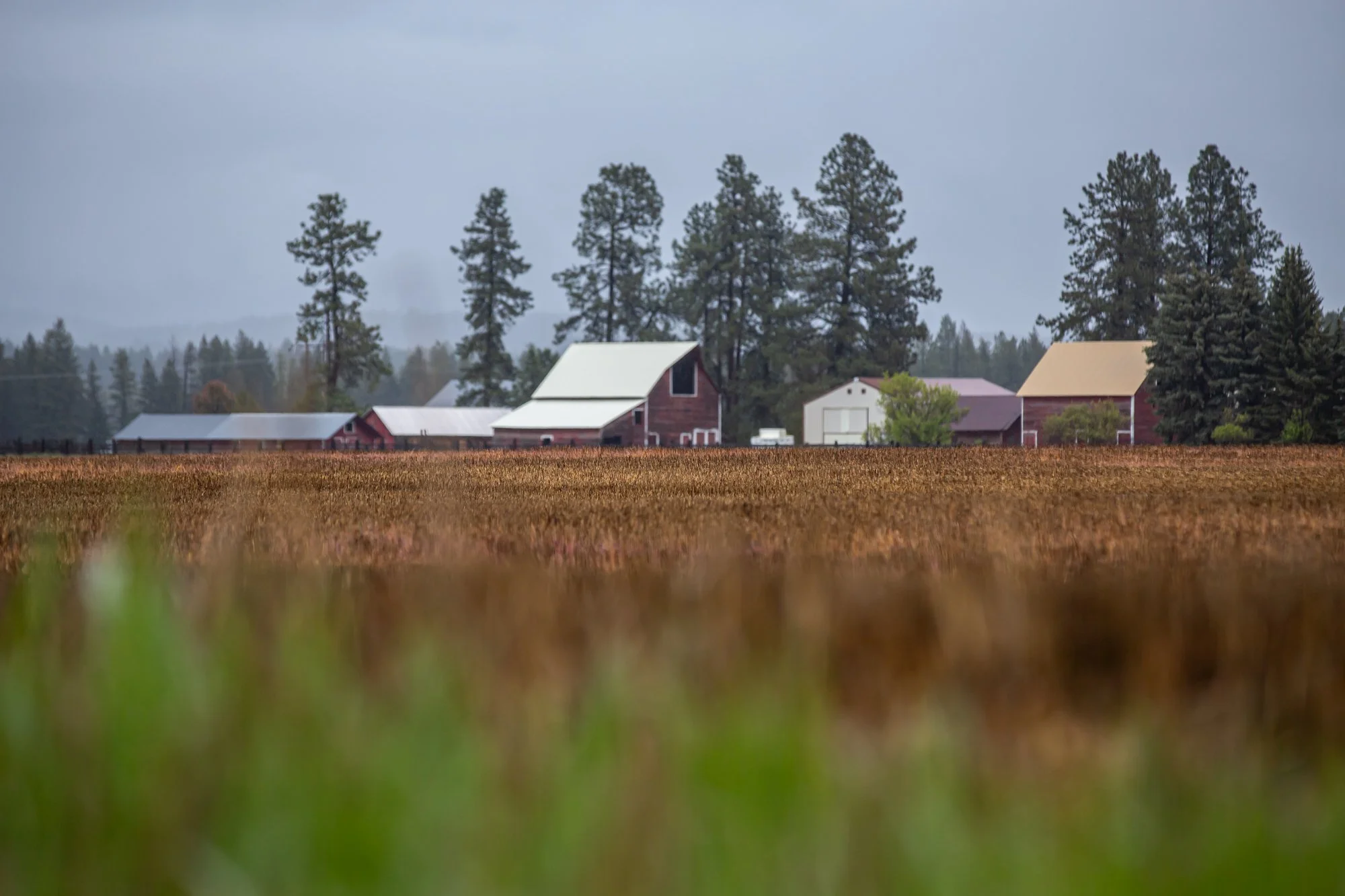 WFO Barn Tours Scout - Spring 2024-023.jpg