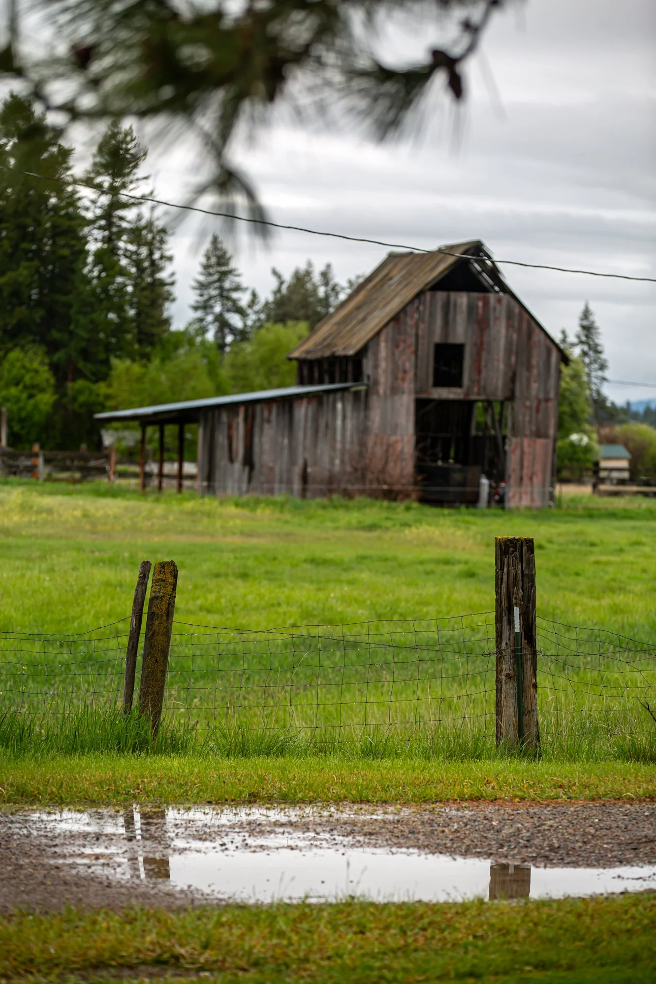 WFO Barn Tours Scout - Spring 2024-026.jpg