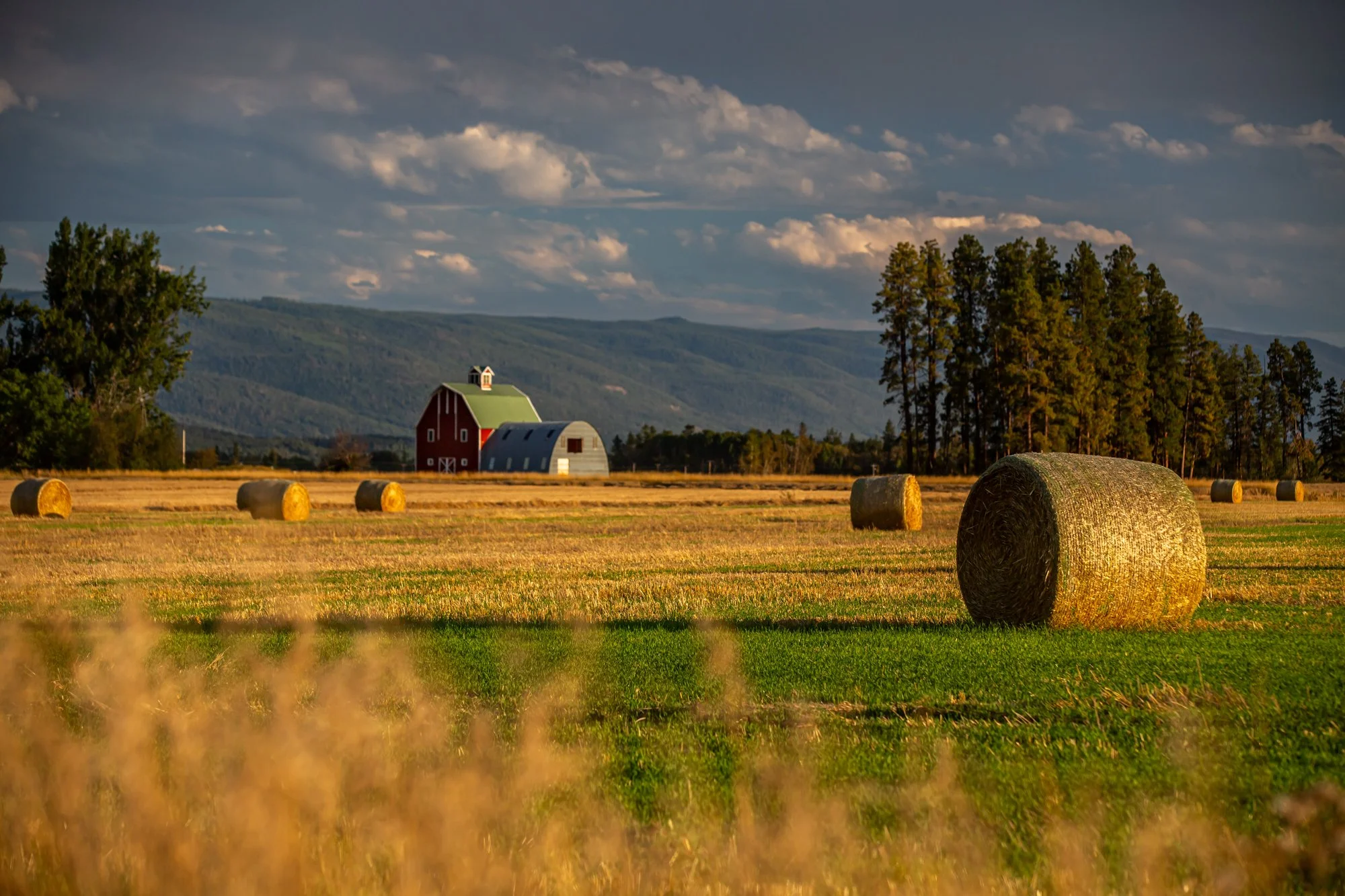 TheGlacierGuide.com Historic Barn Tours Locations Part II-164.jpg