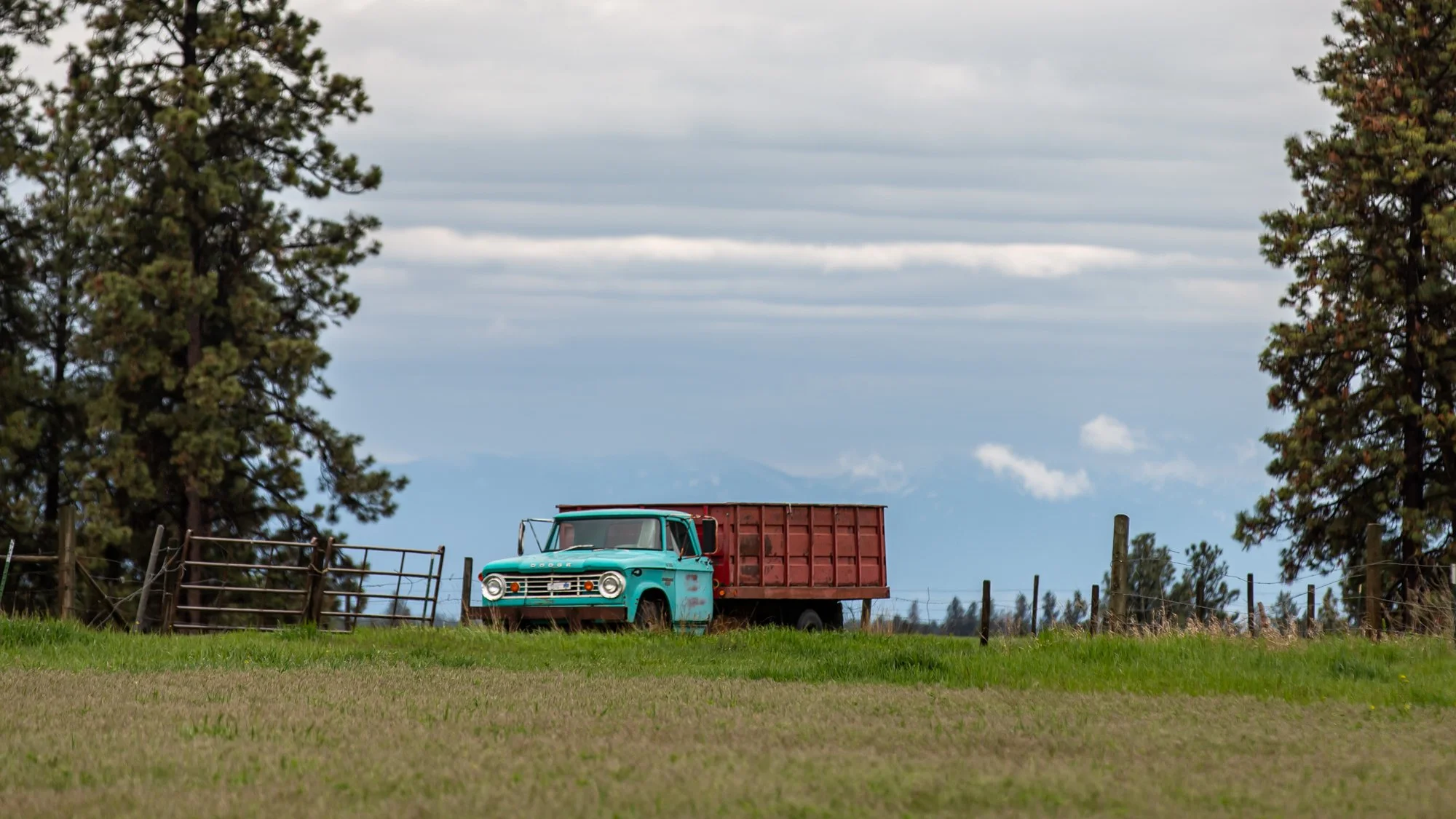 WFO Barn Tours Scout - Spring 2024-122.jpg