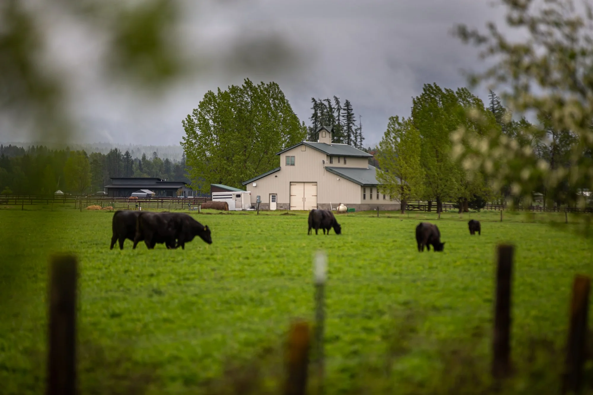 WFO Barn Tours Scout - Spring 2024-063.jpg