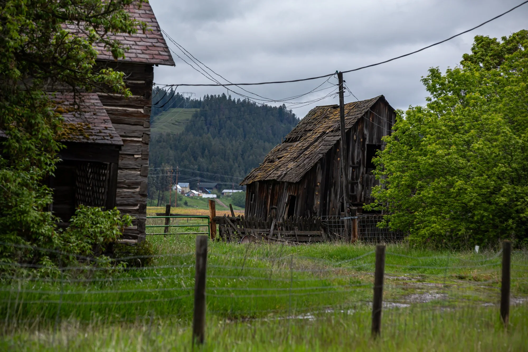 WFO Barn Tours Scout - Spring 2024-029.jpg