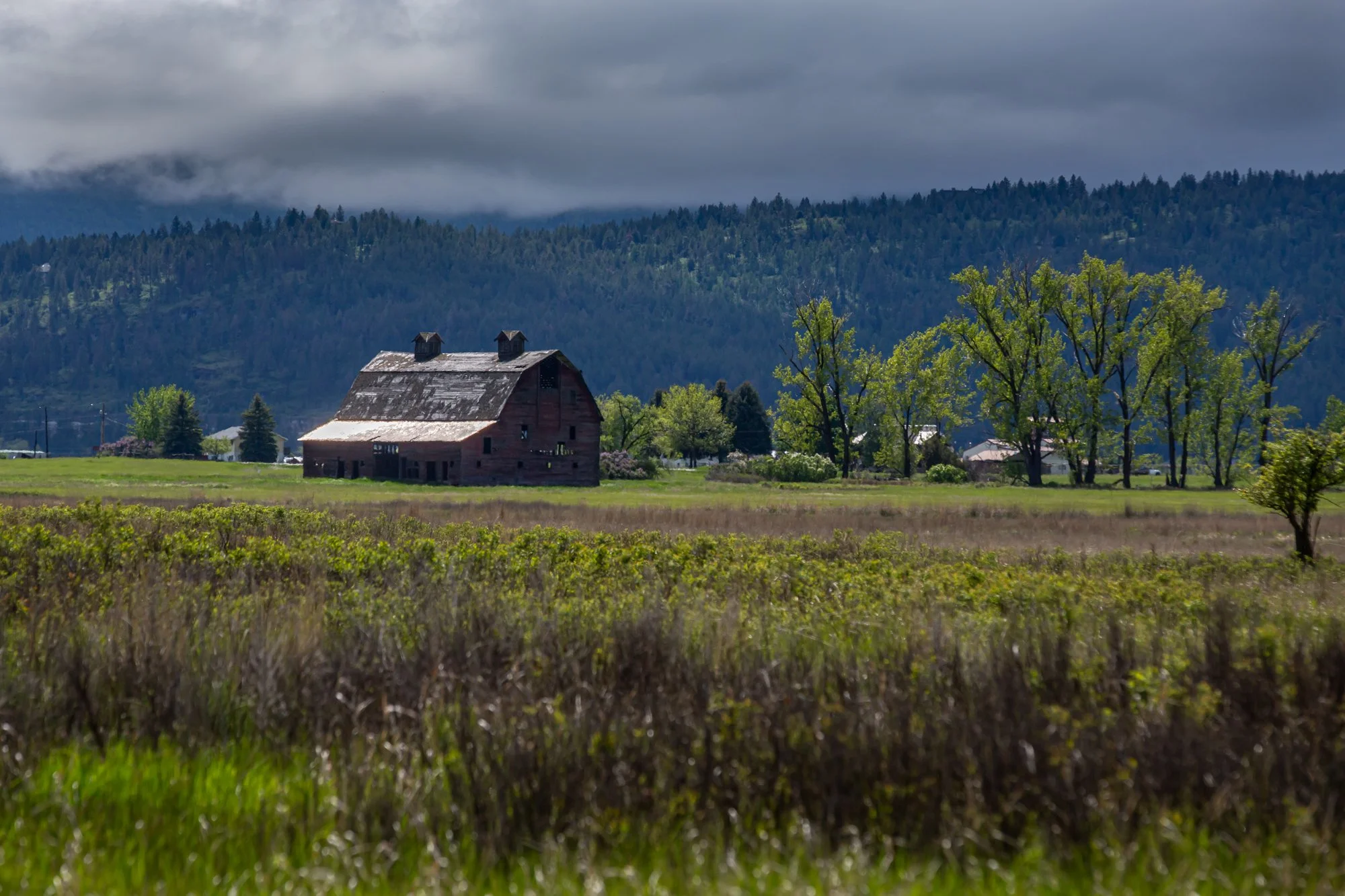 WFO Barn Tours Scout - Spring 2024-235.jpg