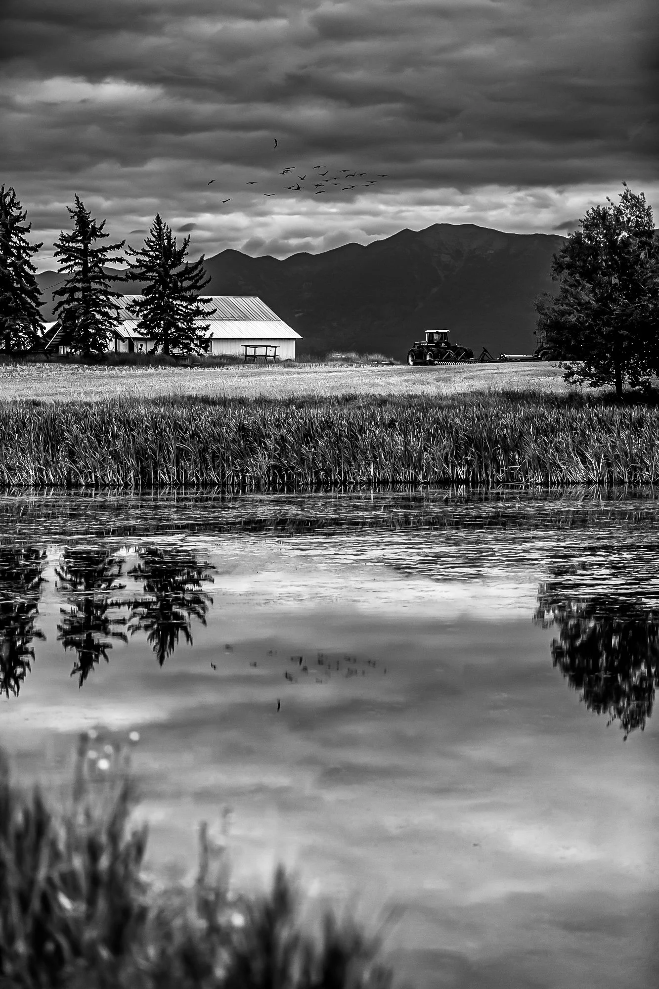 TheGlacierGuide.com Historic Barn Tours Locations Part II B&Ws-07.jpg