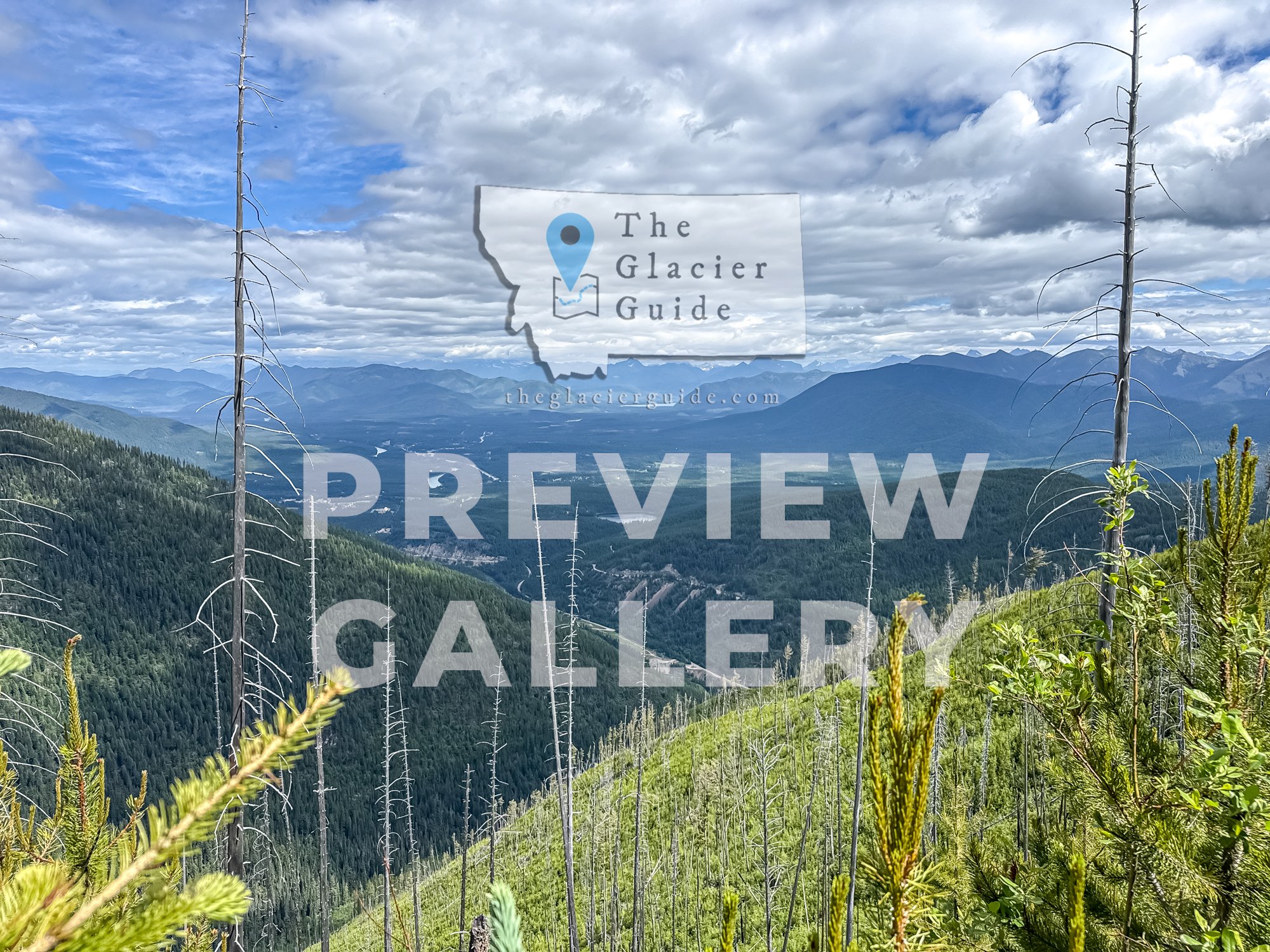TGG-EPS-07032026-01-0-PREVIEW-96.jpg