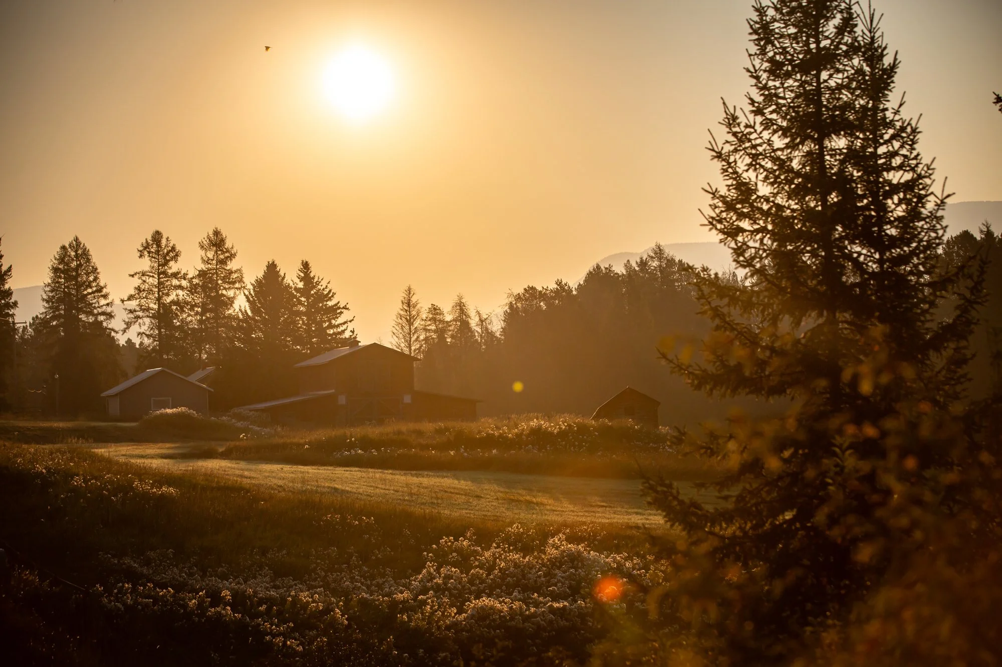 TheGlacierGuide.com Historic Barn Tours Locations Part III-07.jpg