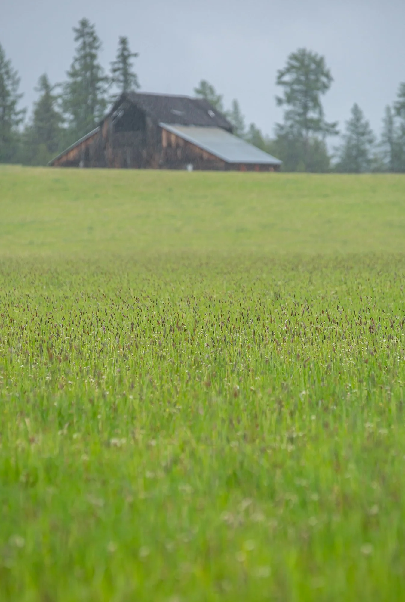 WFO Barn Tours Scout - Spring 2024-090.jpg
