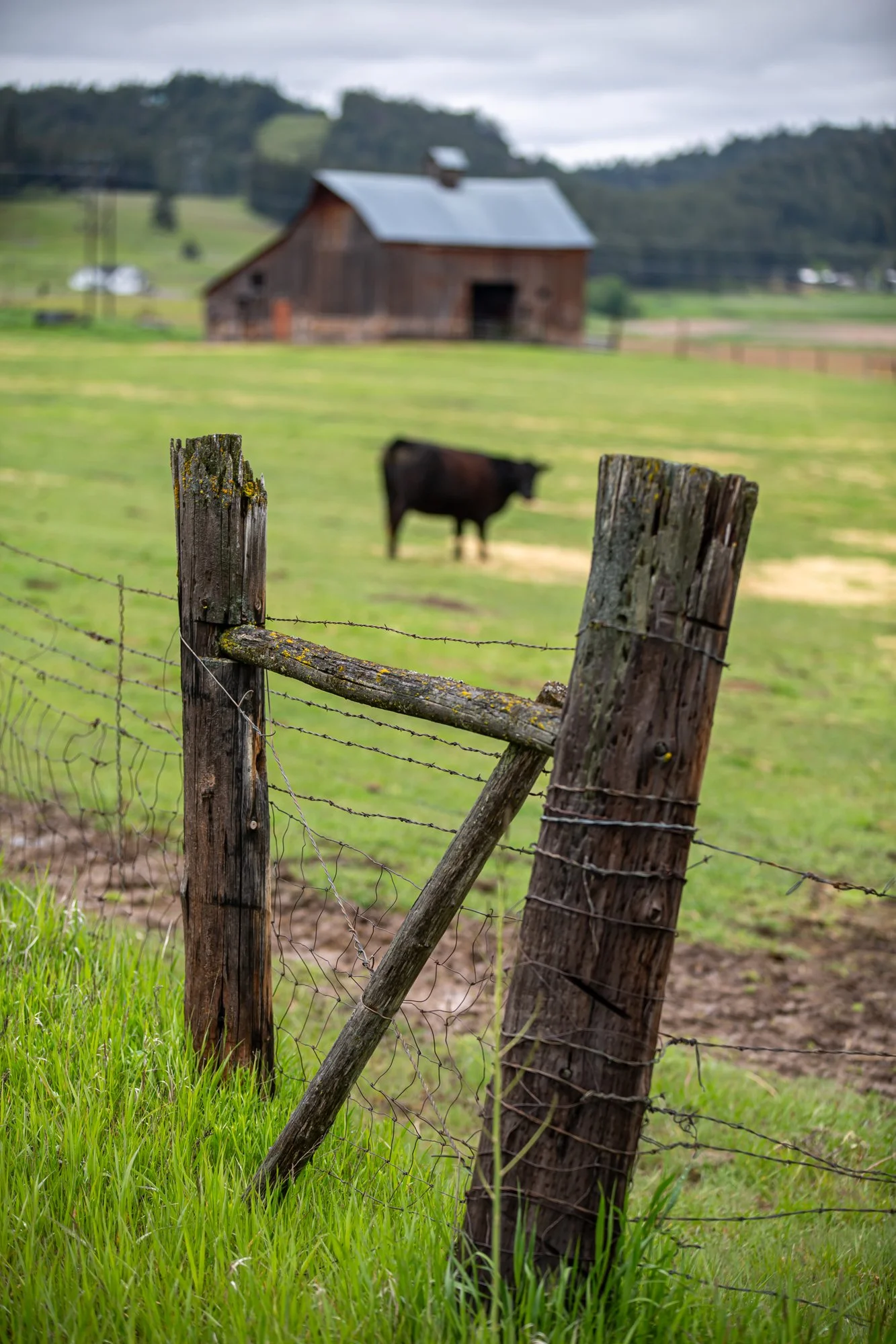 WFO Barn Tours Scout - Spring 2024-155.jpg