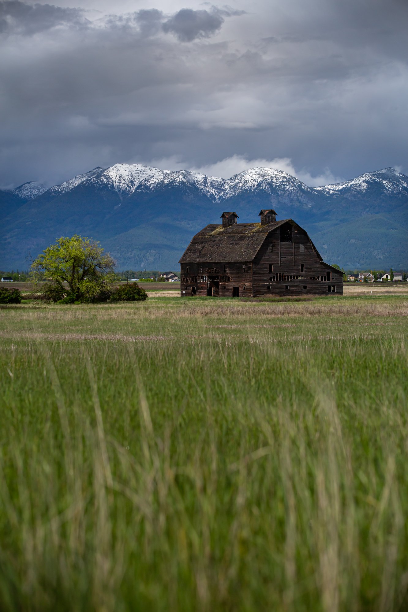 WFO Barn Tours Scout - Spring 2024-277.jpg