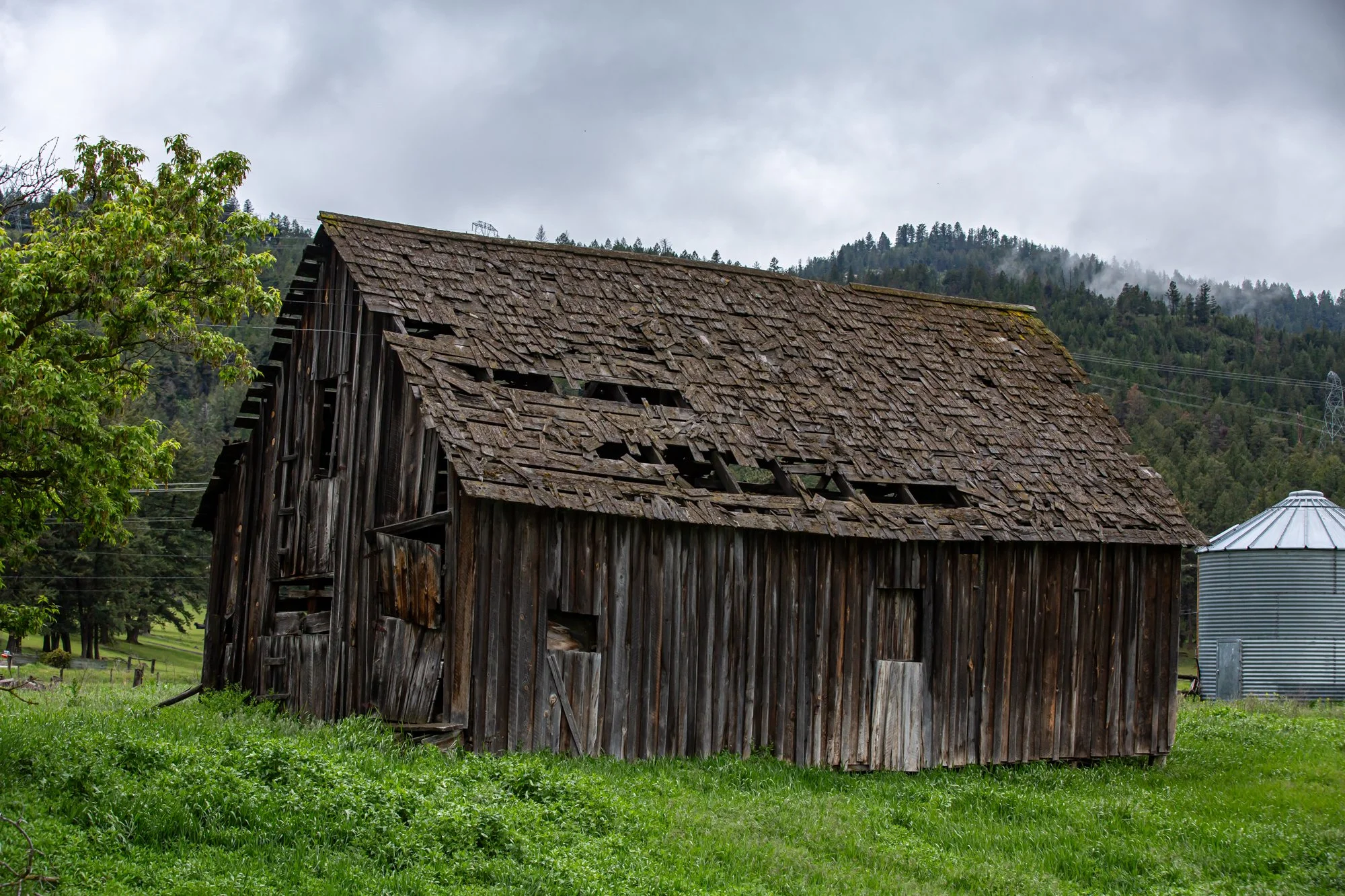 WFO Barn Tours Scout - Spring 2024-028.jpg