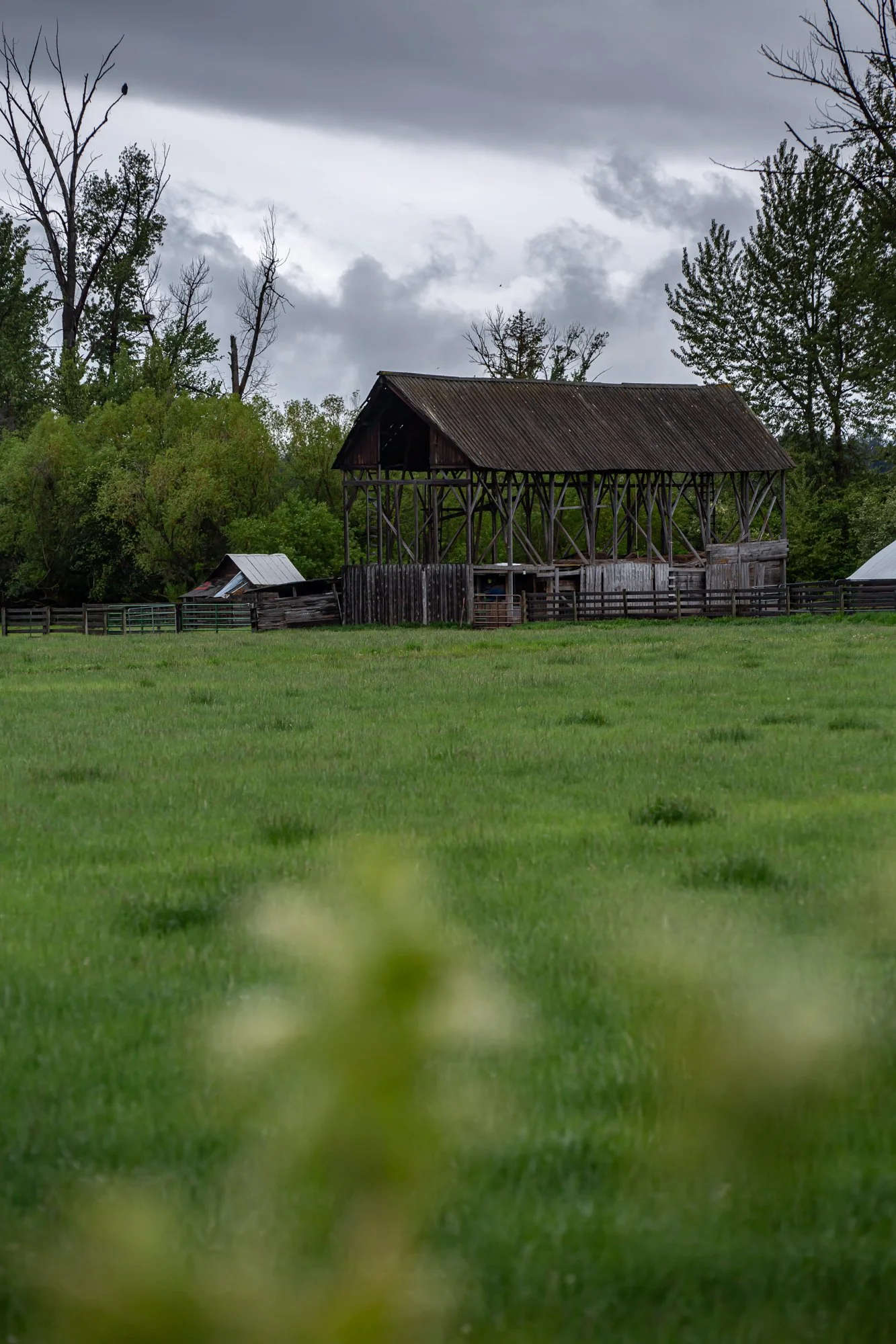 WFO Barn Tours Scout - Spring 2024-109.jpg