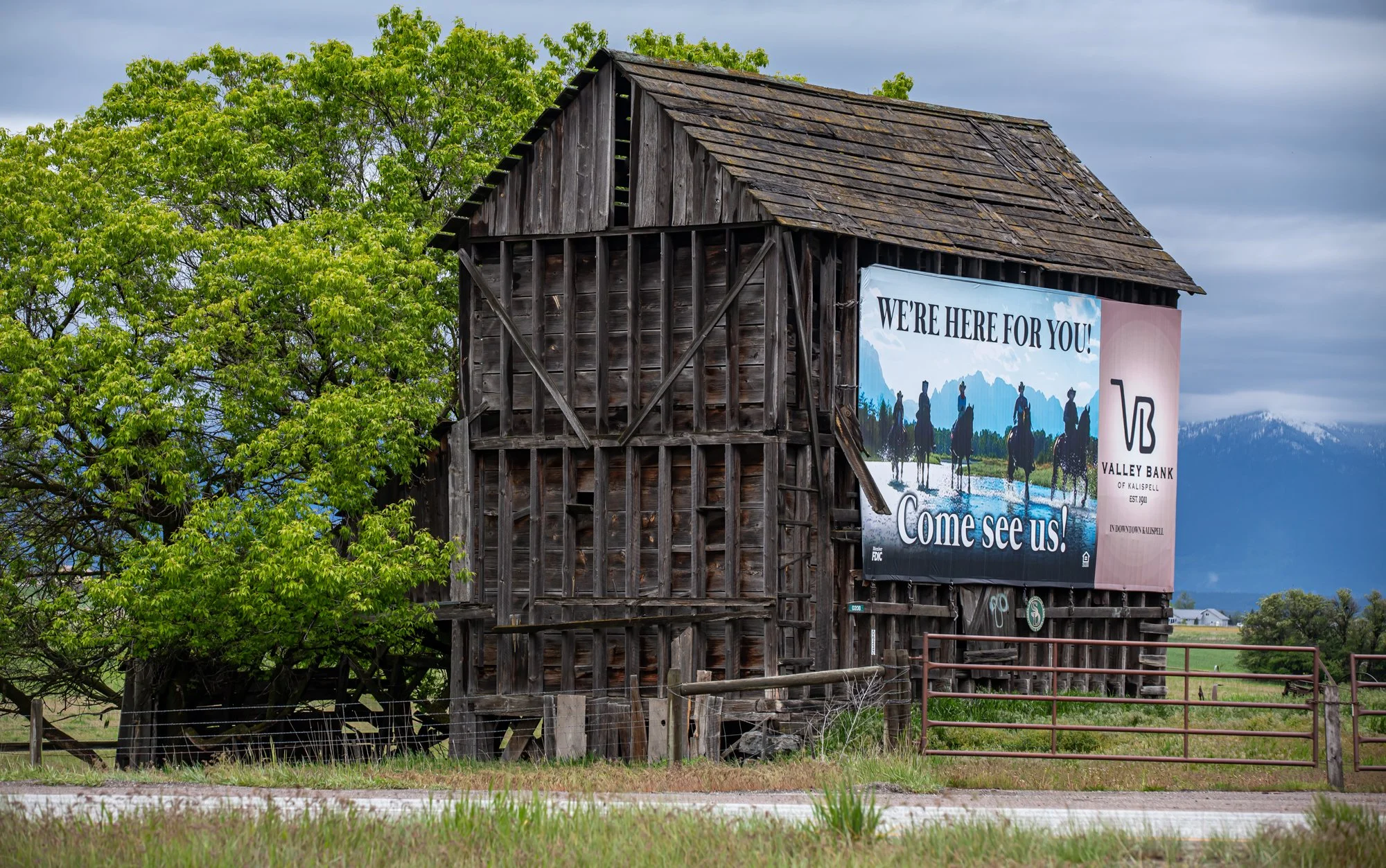 WFO Barn Tours Scout - Spring 2024-141.jpg