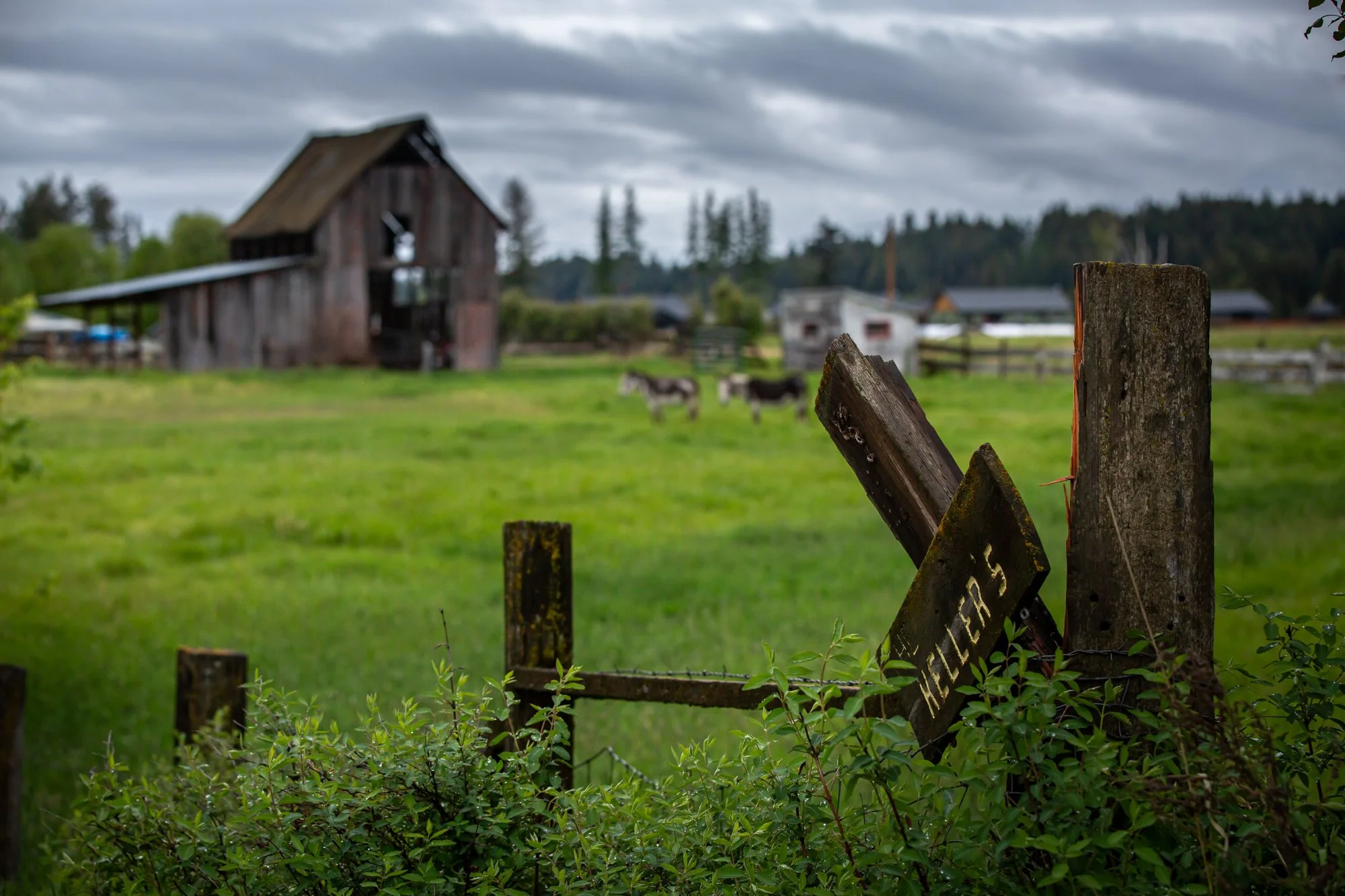 WFO Barn Tours Scout - Spring 2024-116.jpg