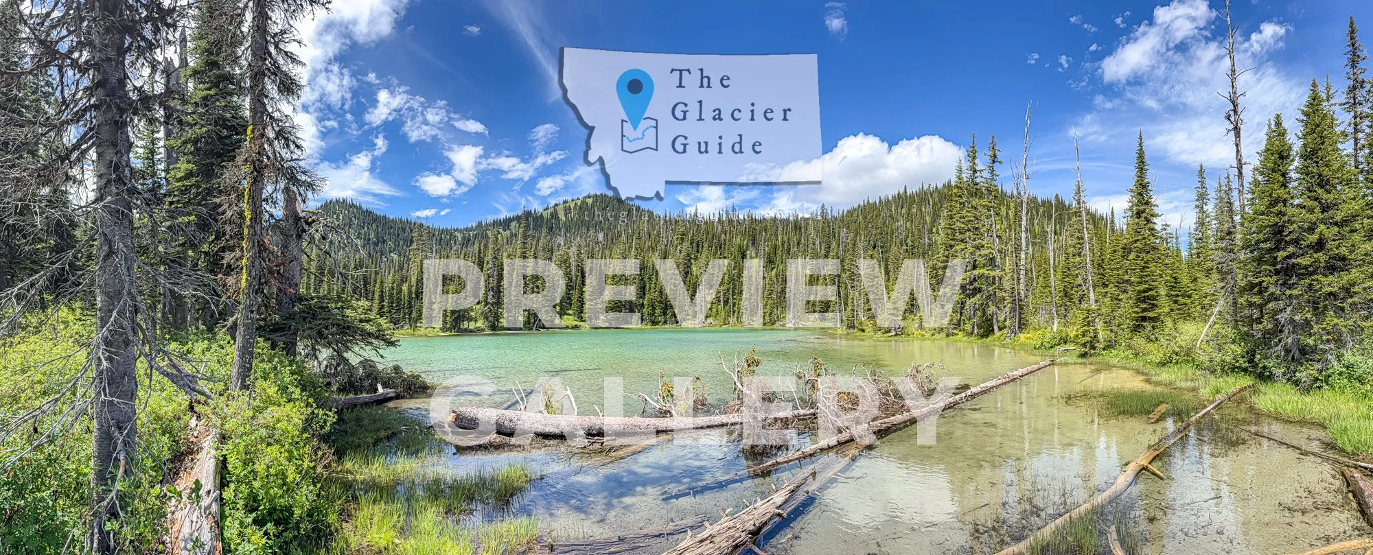 TGG-EPS-07032026-01-0-PREVIEW-98.jpg