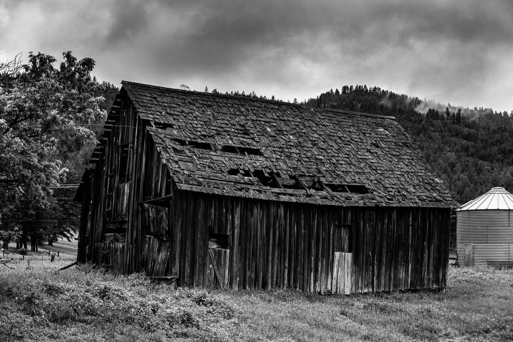 WFO Barn Tours Scout - Spring 2024-139.jpg
