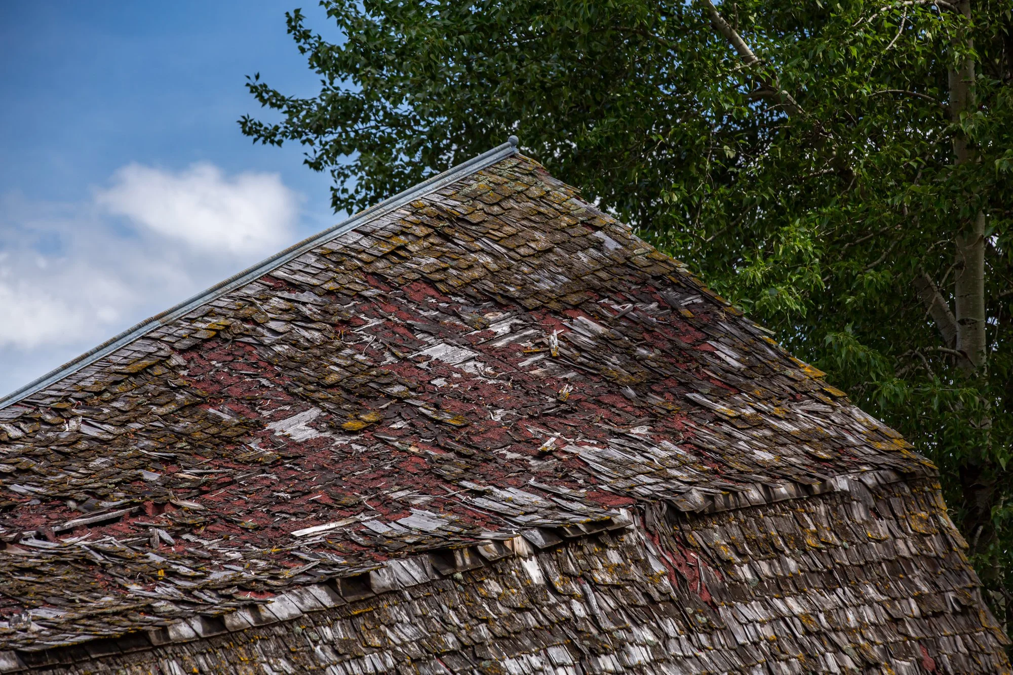 WFO Barn Tours Scout - Spring 2024-241.jpg