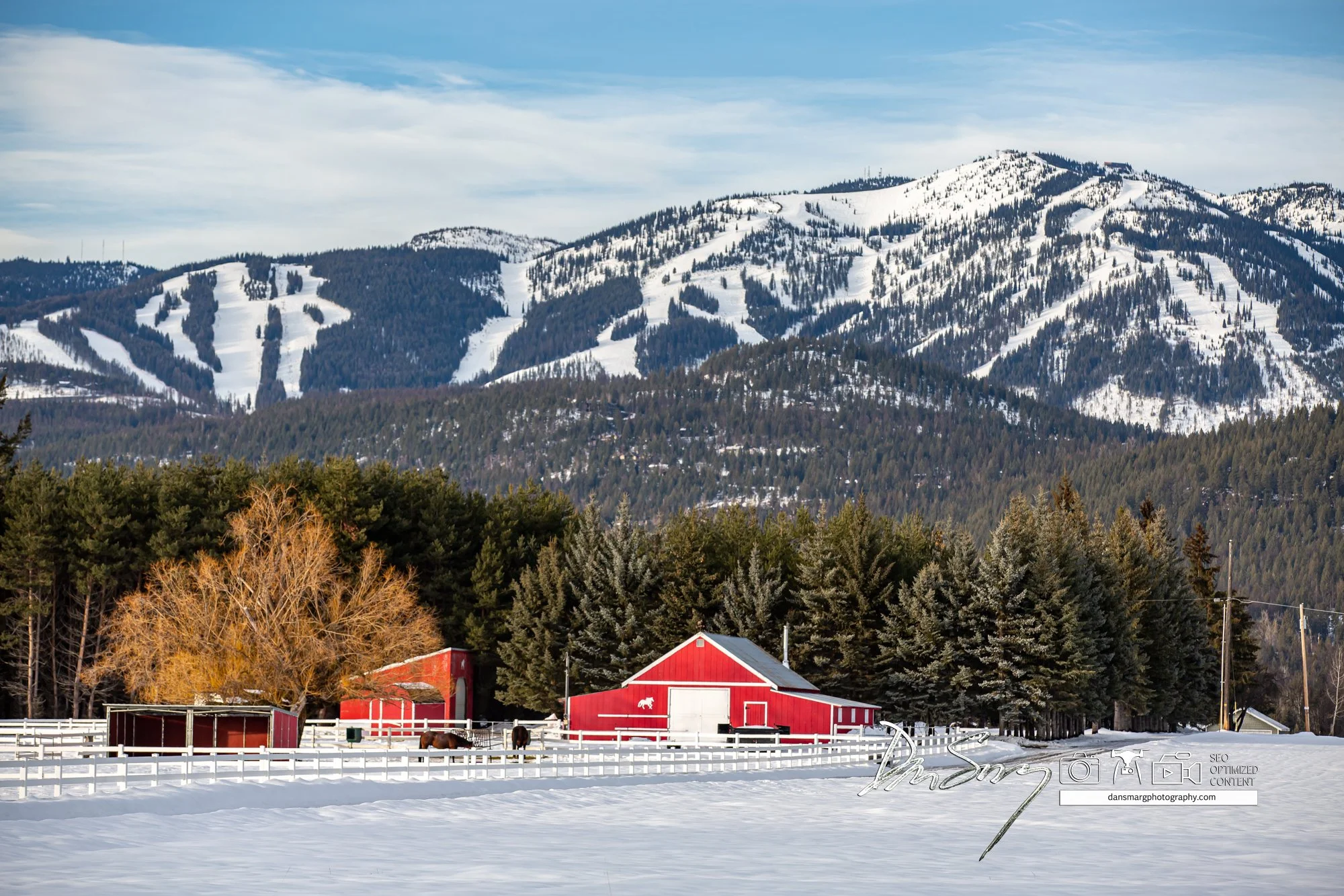 DanSmargPhotography.com _ NWMT Barn Locations-109.jpg