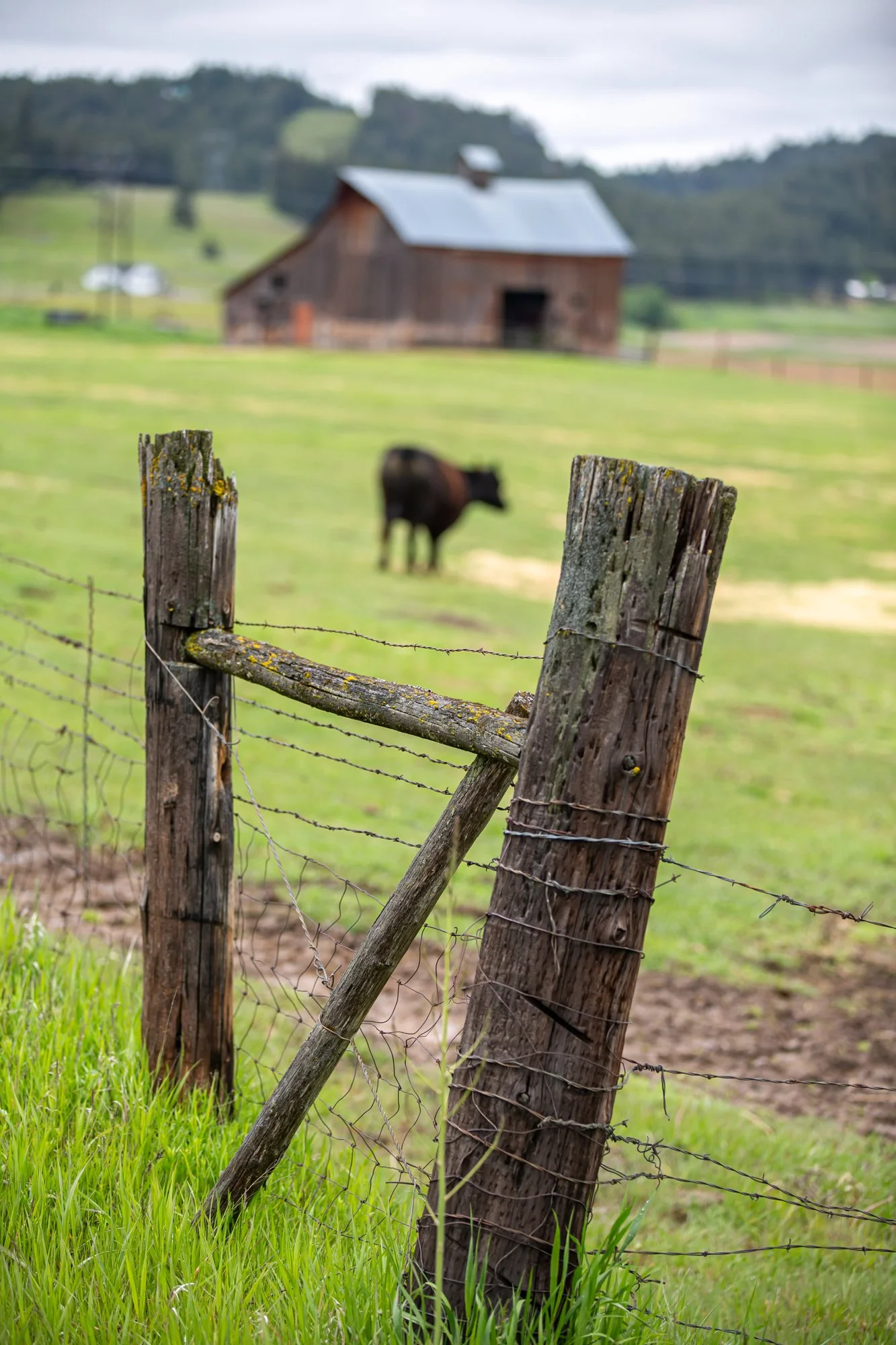 WFO Barn Tours Scout - Spring 2024-156.jpg