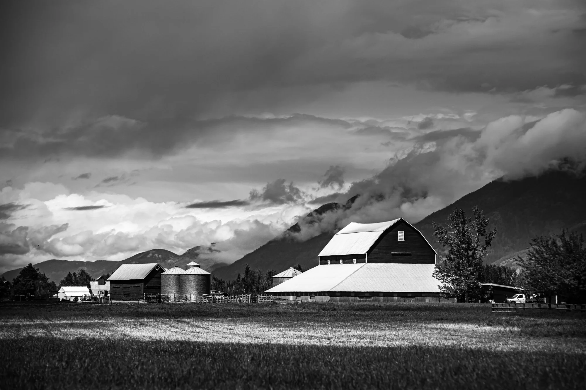 WFO Barn Tours Scout - Spring 2024-252.jpg