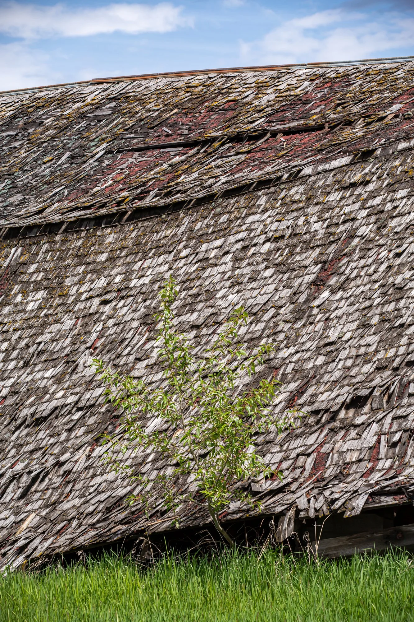 WFO Barn Tours Scout - Spring 2024-046.jpg