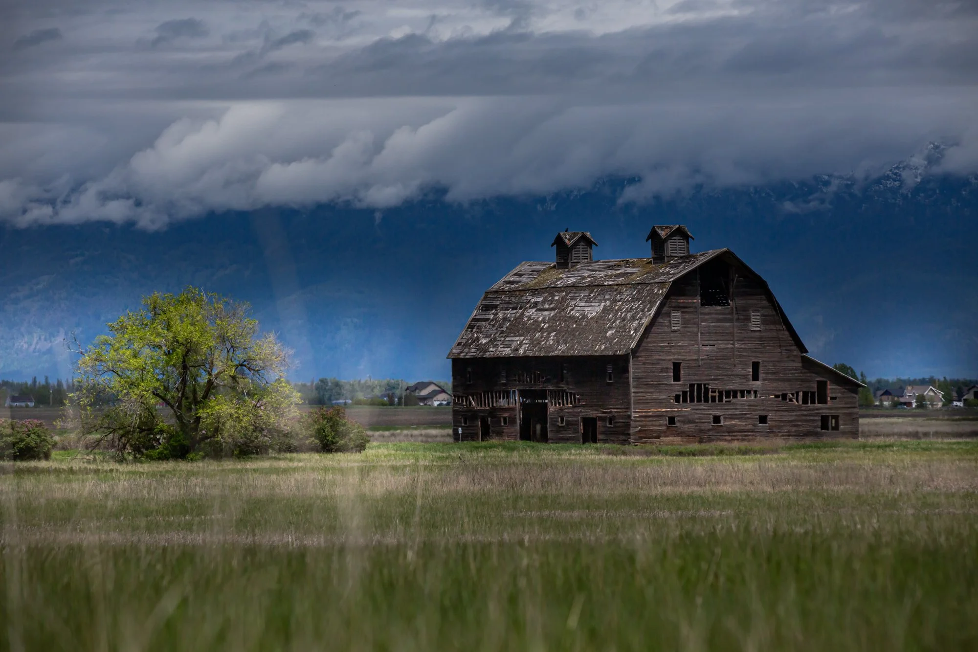 WFO Barn Tours Scout - Spring 2024-217.jpg