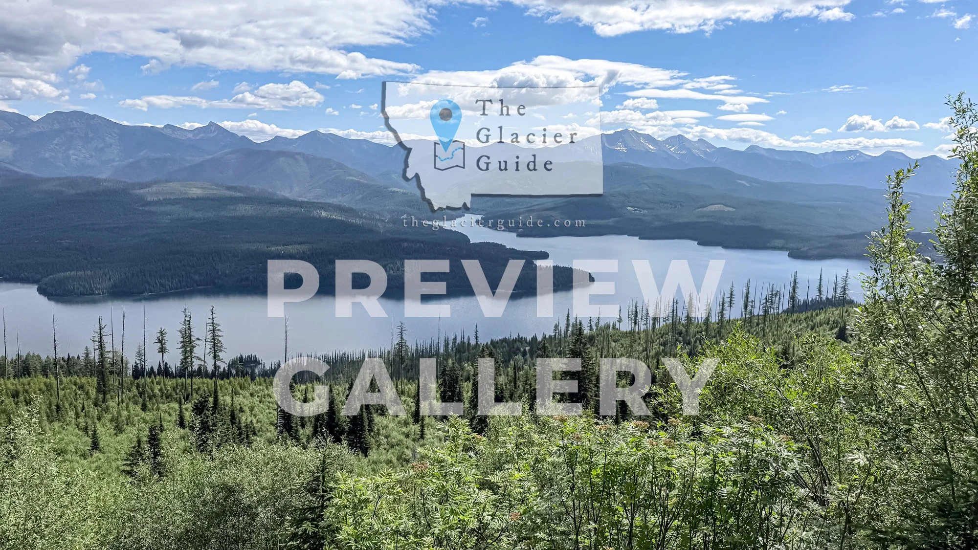 TGG-EPS-07032026-01-0-PREVIEW-83.jpg